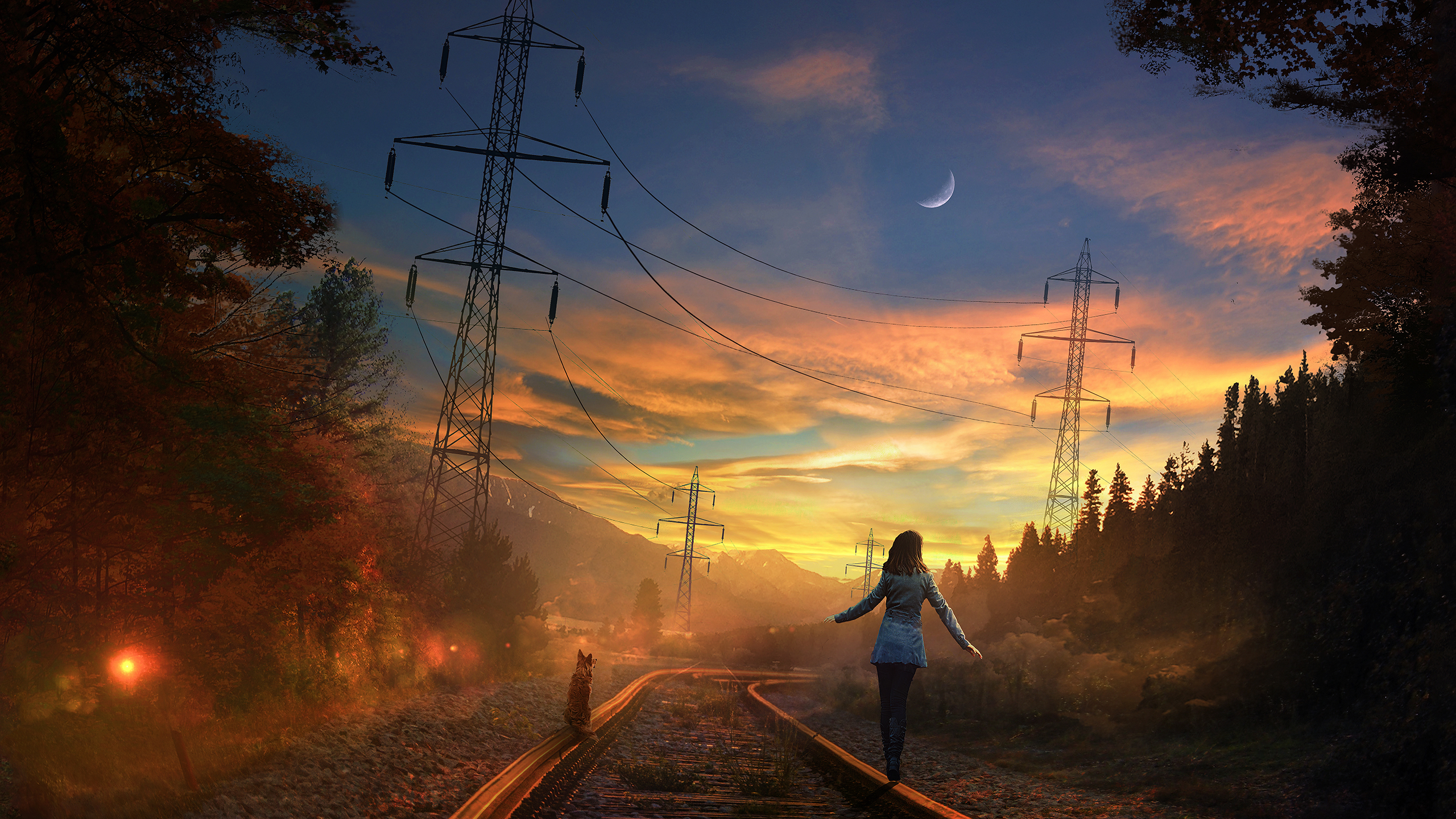 Dog Girl Power Line Railroad Skirt Sky Woman 2560x1440