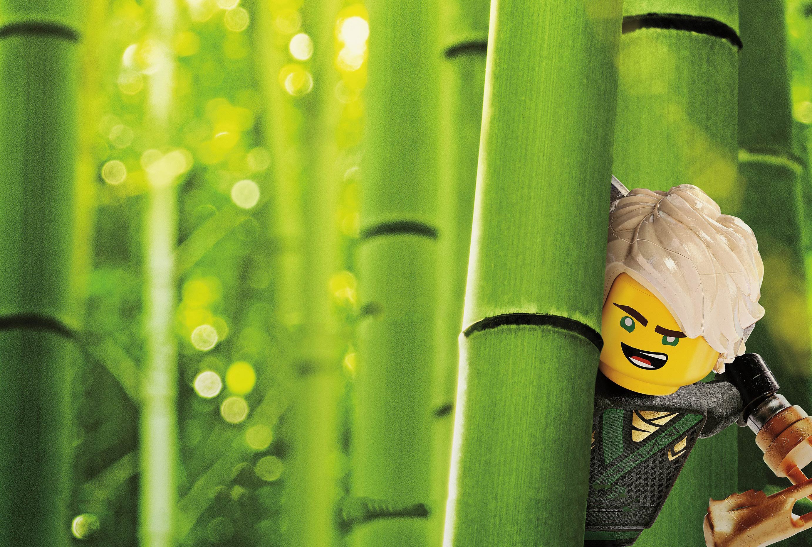 Bamboo Lego Lloyd Garmadon The Lego Ninjago Movie 2764x1865