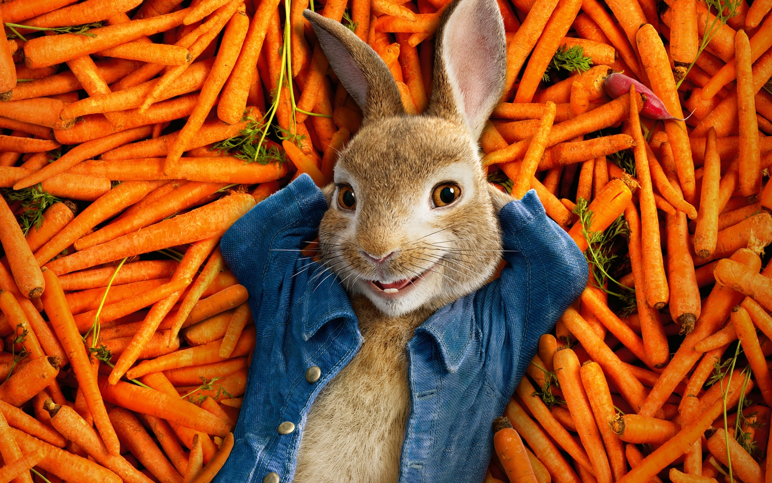 Carrot Rabbit 2560x1600