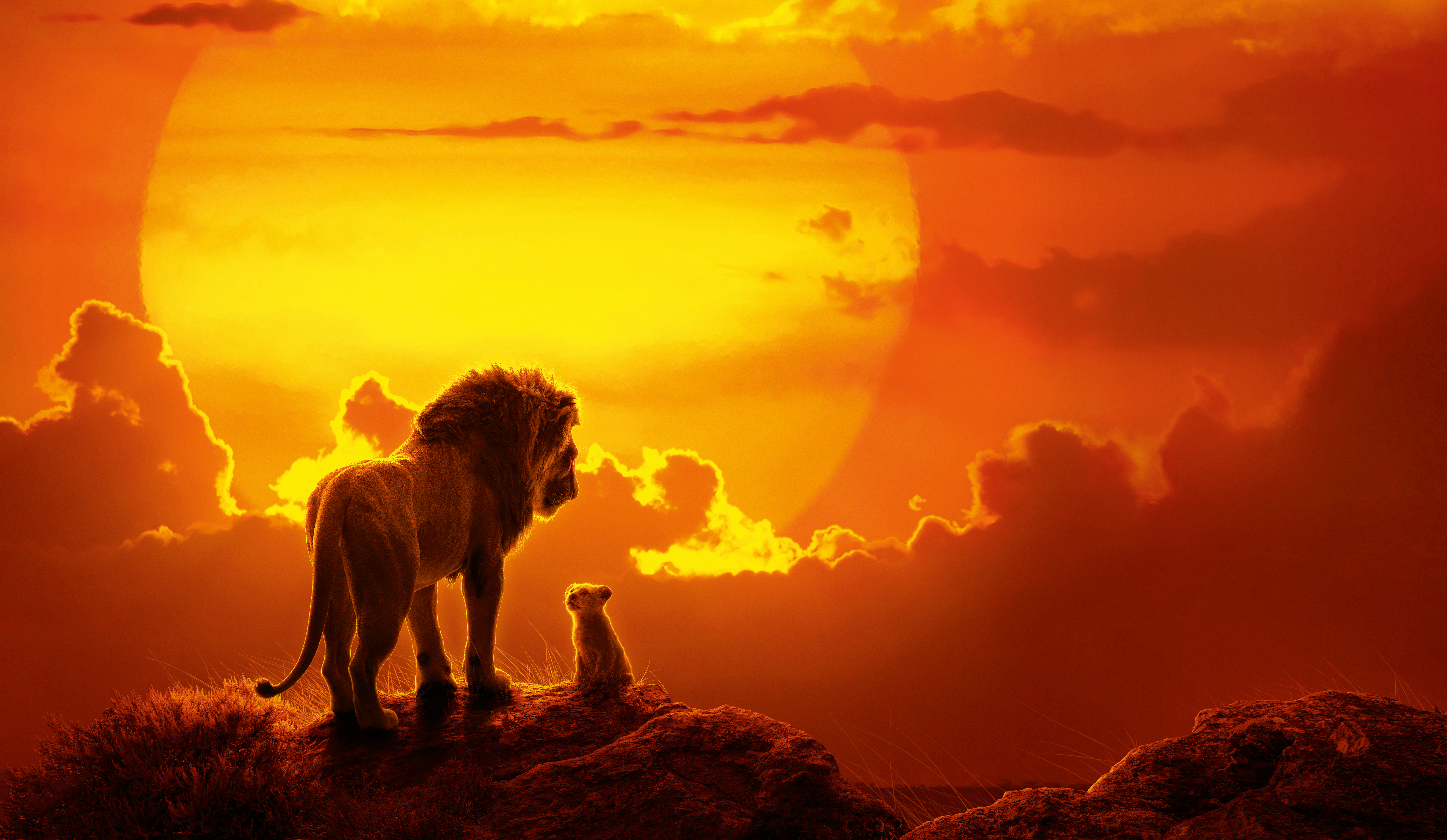 Baby Animal Lion Mufasa The Lion King Simba The Lion King 2019 8164x4742