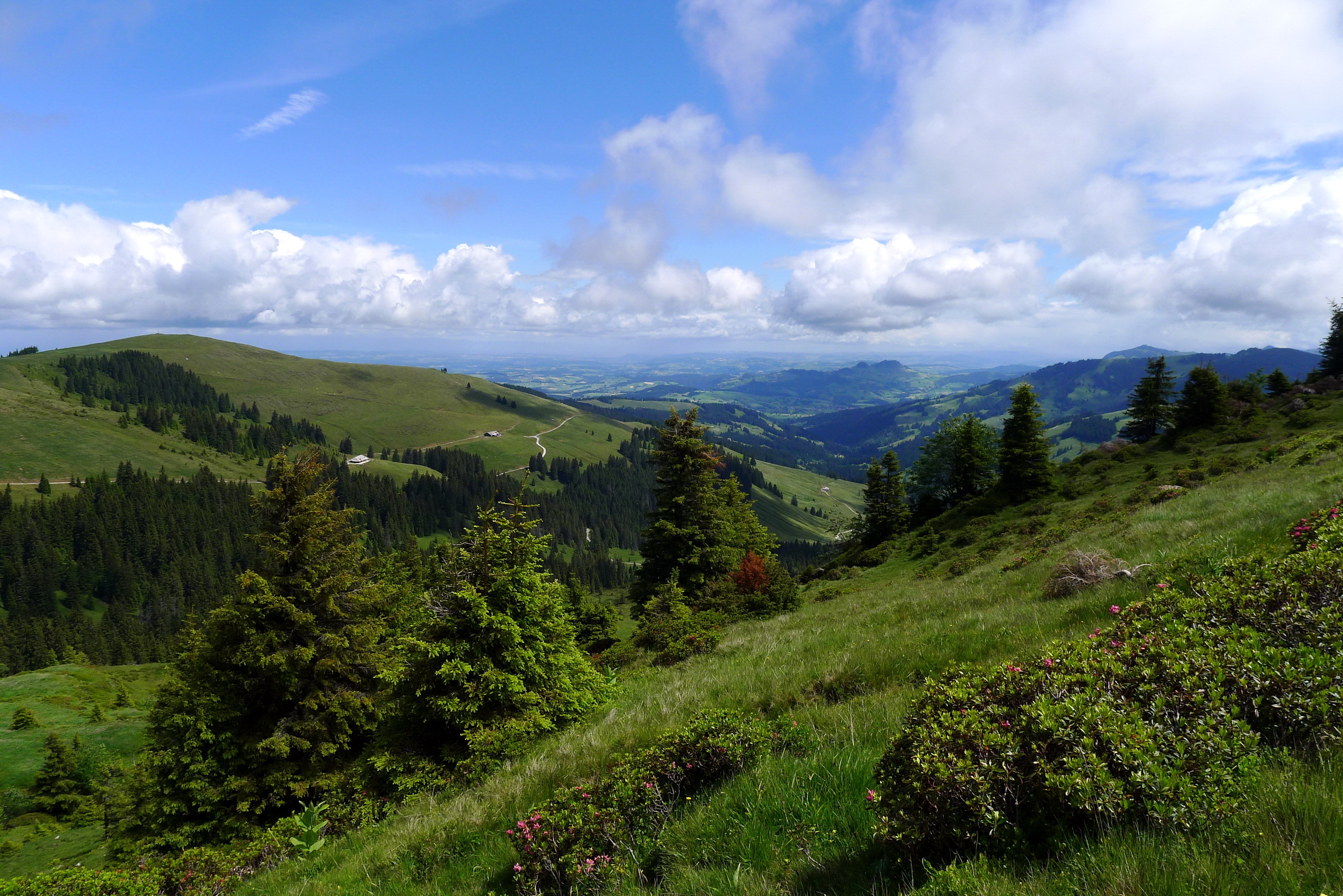Cloud Forest Landscape Mountain Panorama Scenic Sky 2570x1715