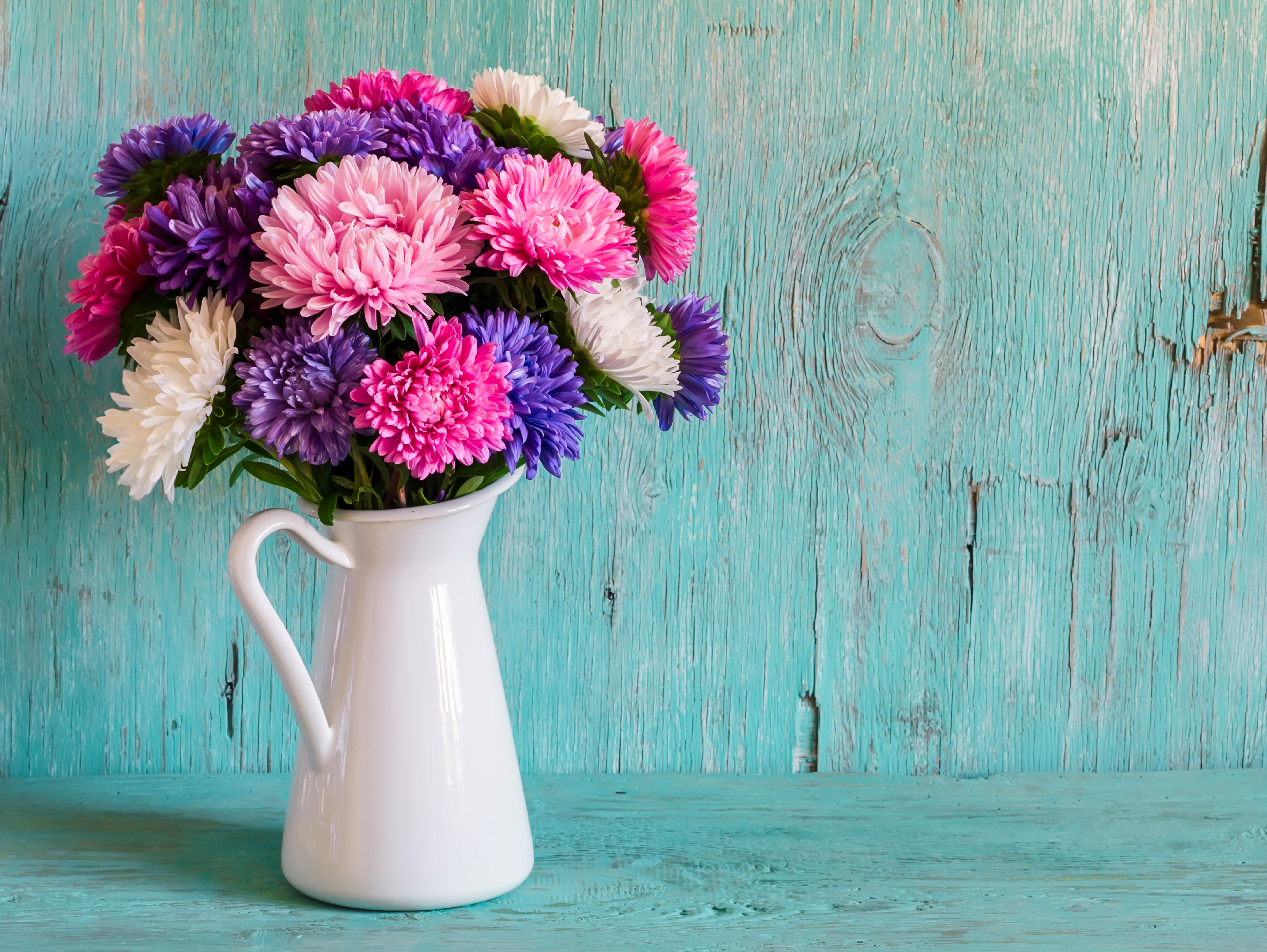 Bouquet Colorful Daisy Flower Pitcher Still Life Vase 5615x4220