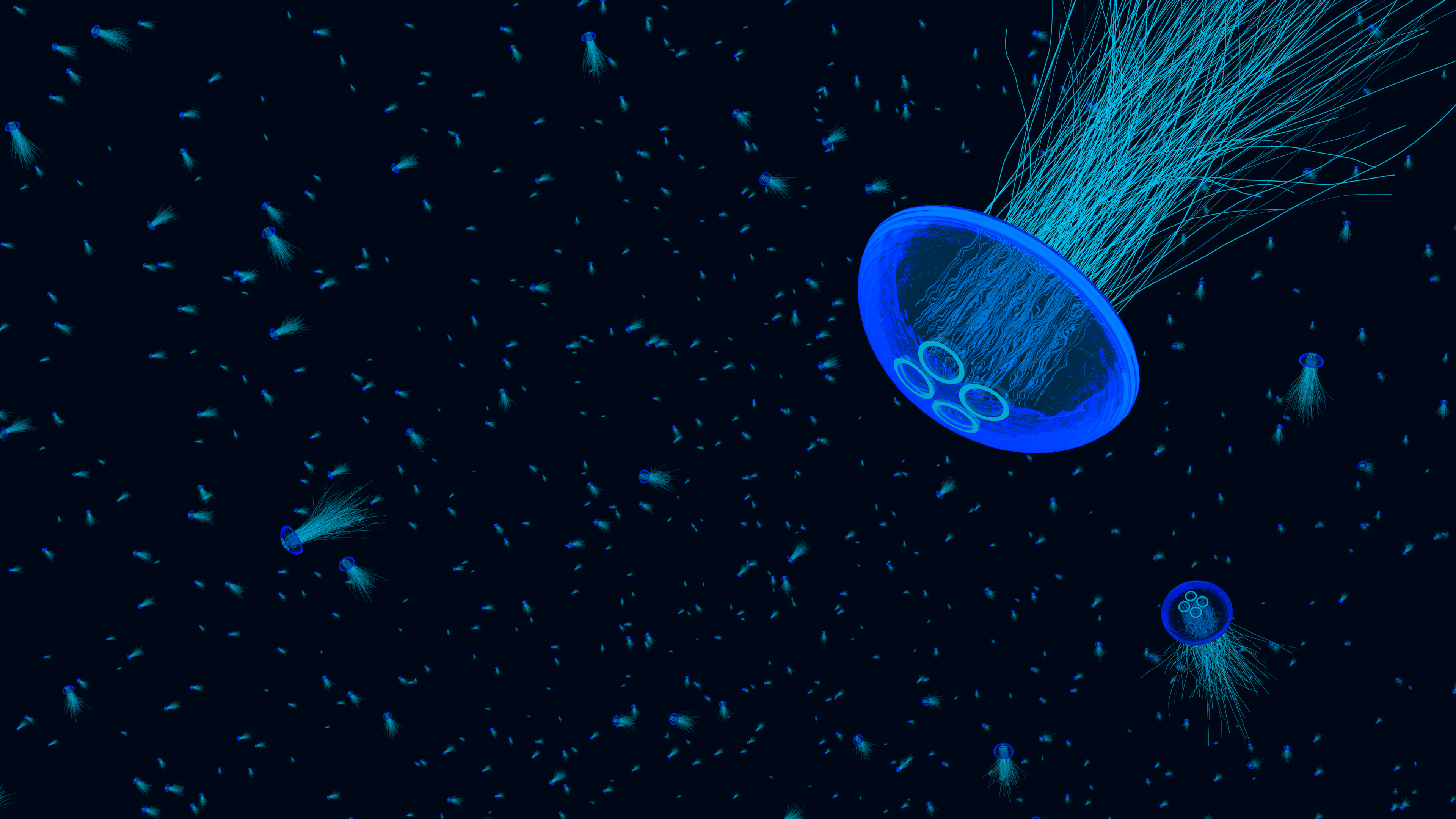 Jellyfish Underwater 3840x2160