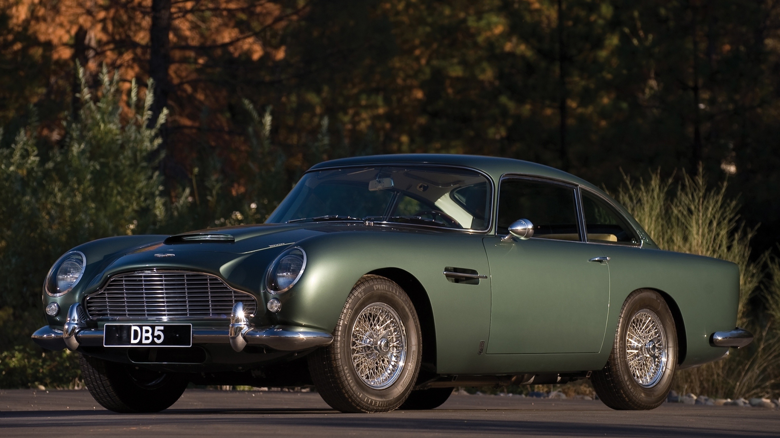 Aston Martin Db5 Coupe Sport Car 2560x1440