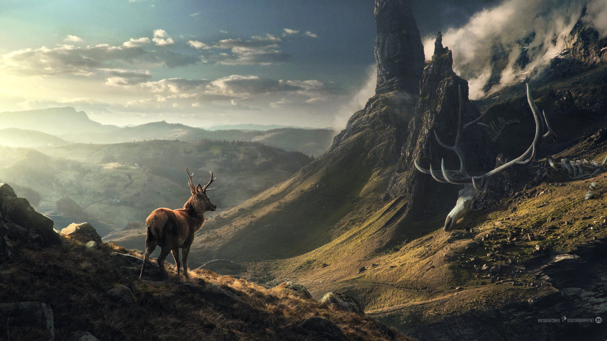Deer Fantasy Landscape 2560x1440