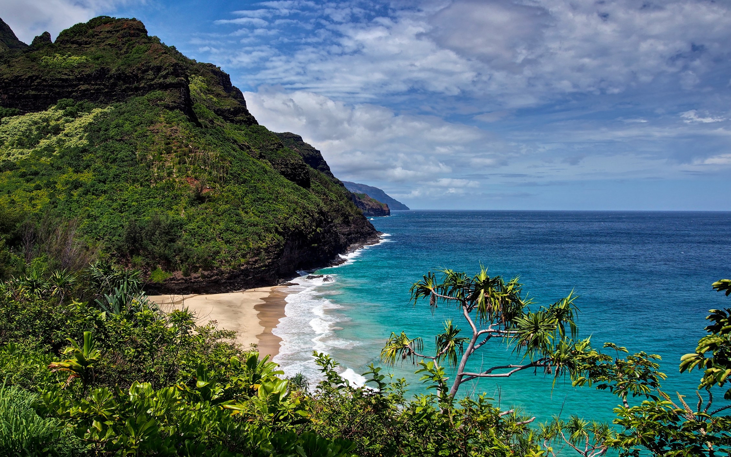 Beach Hawaii Ocean Rock 2560x1600