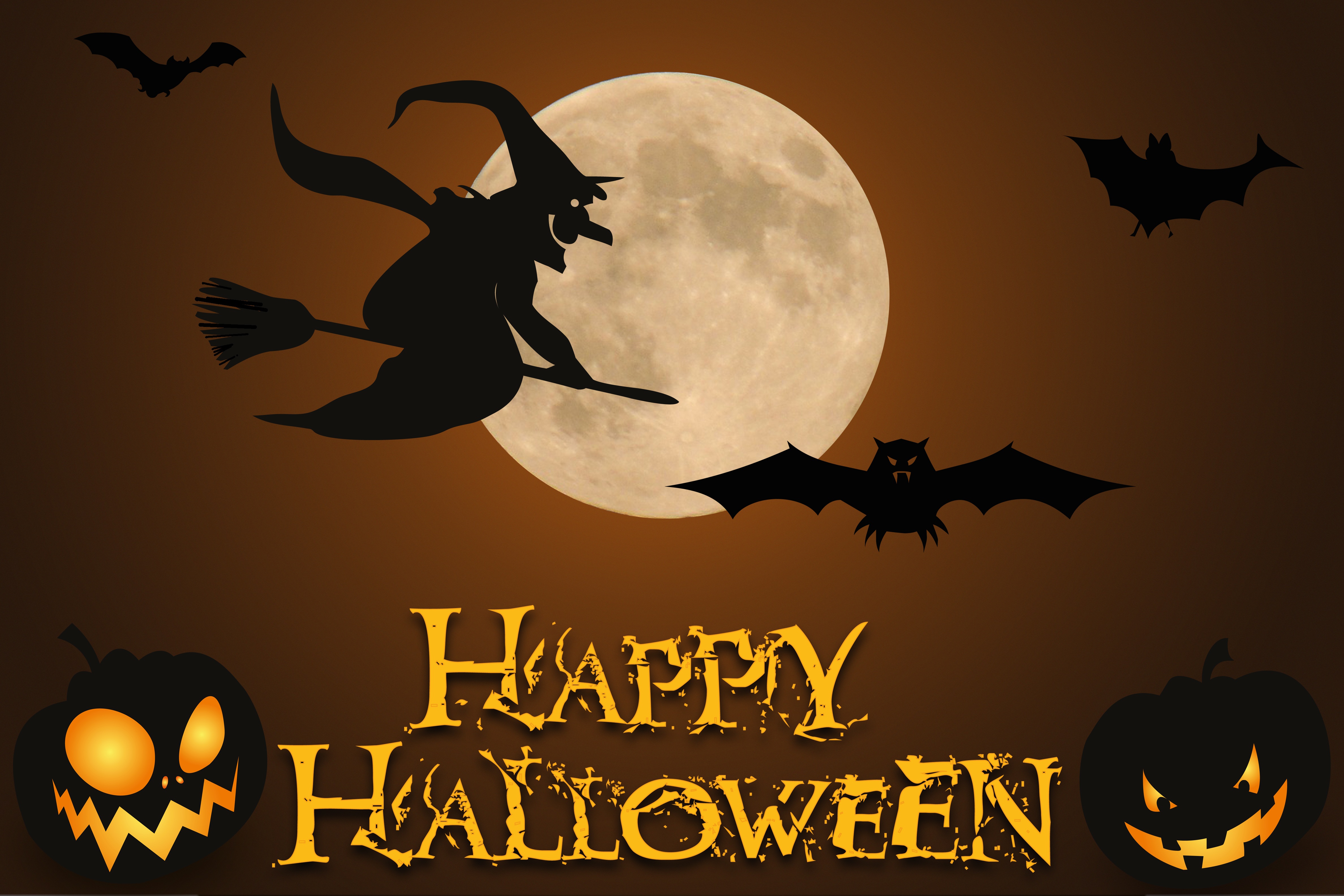 Bat Halloween Happy Halloween Jack O 039 Lantern Moon Witch 4752x3168