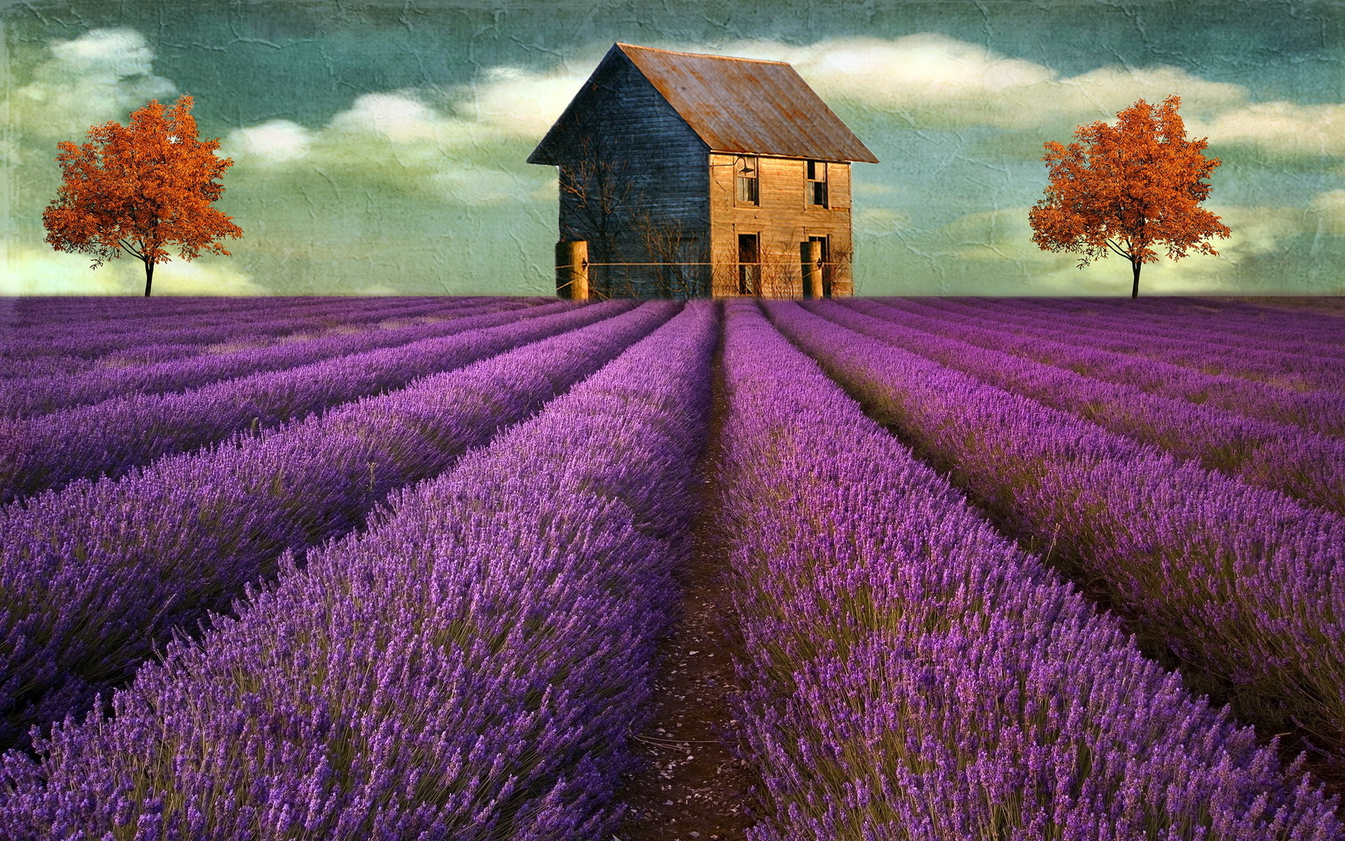House Lavender Painting Purple Tree 1920x1200
