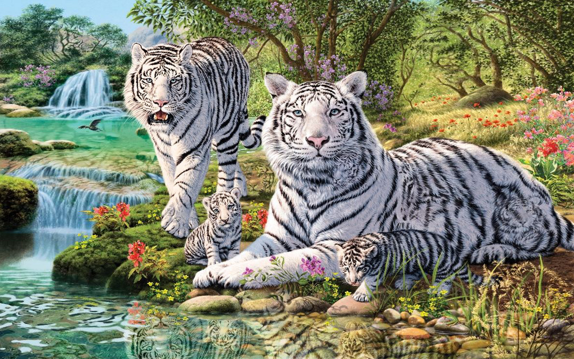 Artistic Big Cat Tiger Waterfall White Tiger Predator Animal 1920x1200