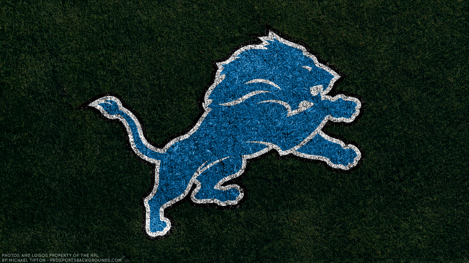 Detroit Lions Emblem Logo Nfl 1920x1080