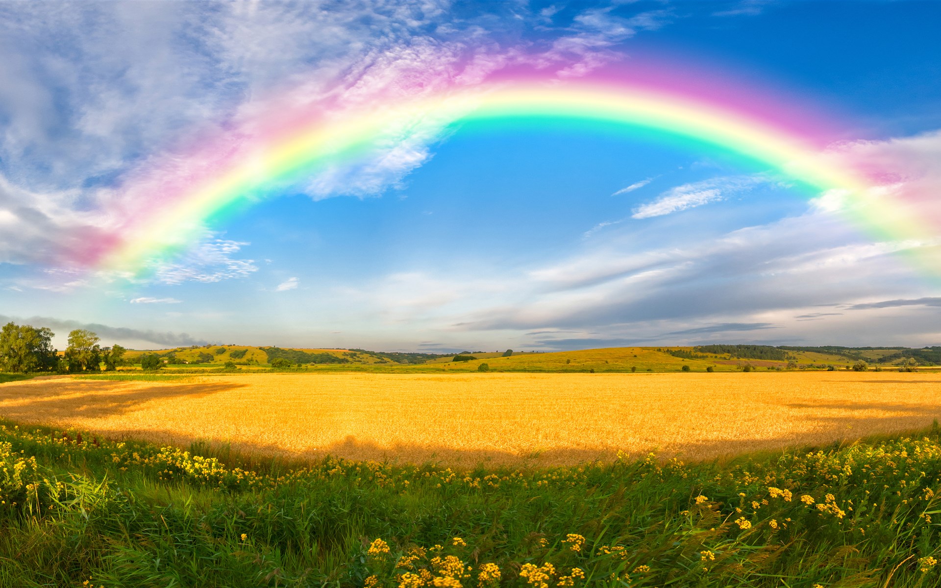 Field Rainbow Sky Summer Wheat 1920x1200