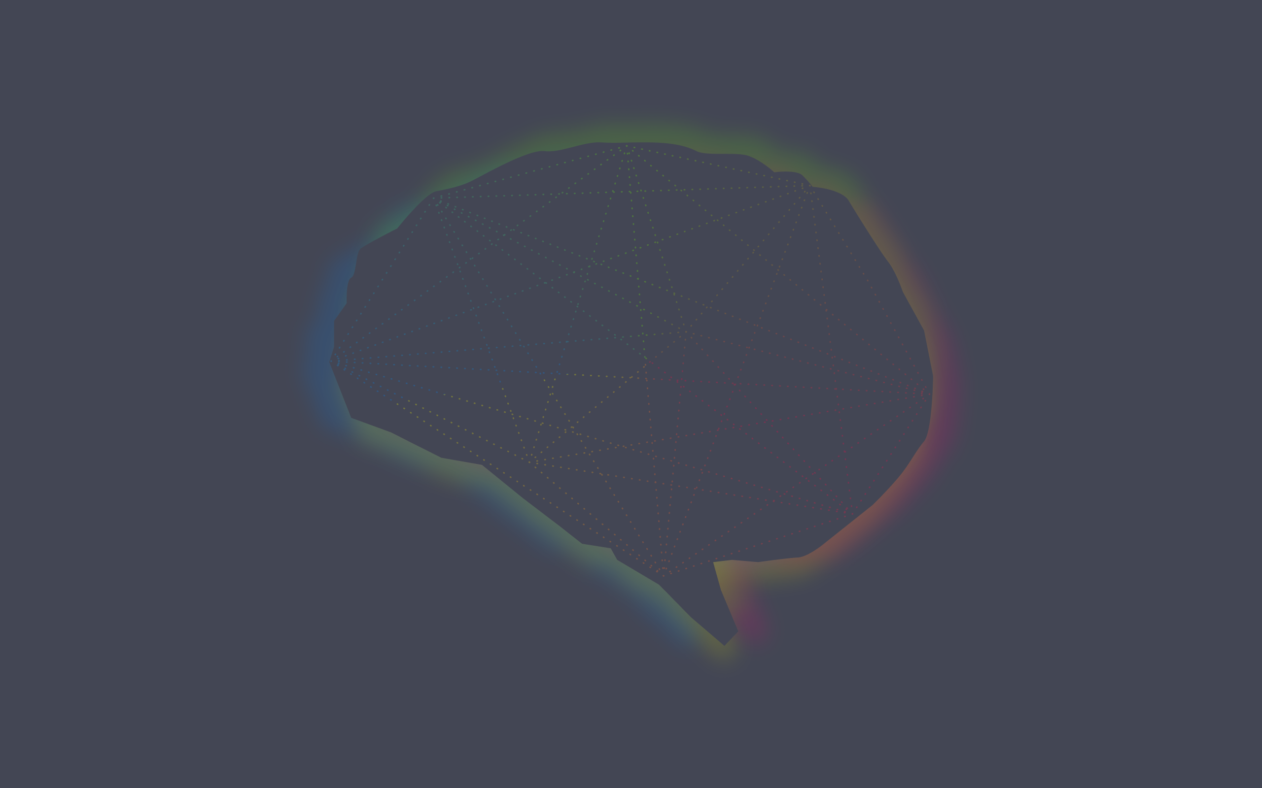 Anatomy Brain Science Grey Simple Simple Background Minimalism Colorful 2560x1600