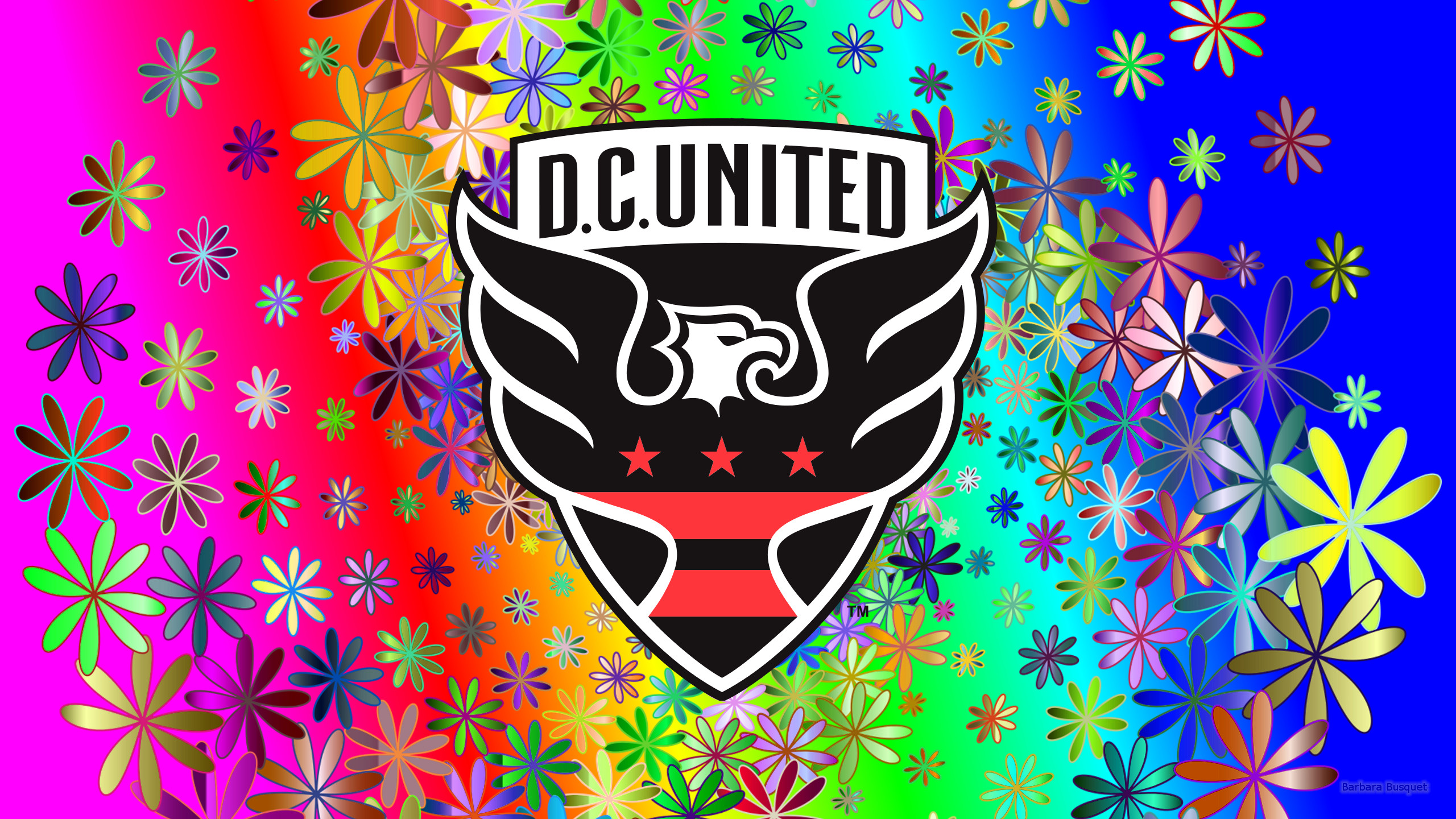 D C United Emblem Logo Mls Soccer 2560x1440