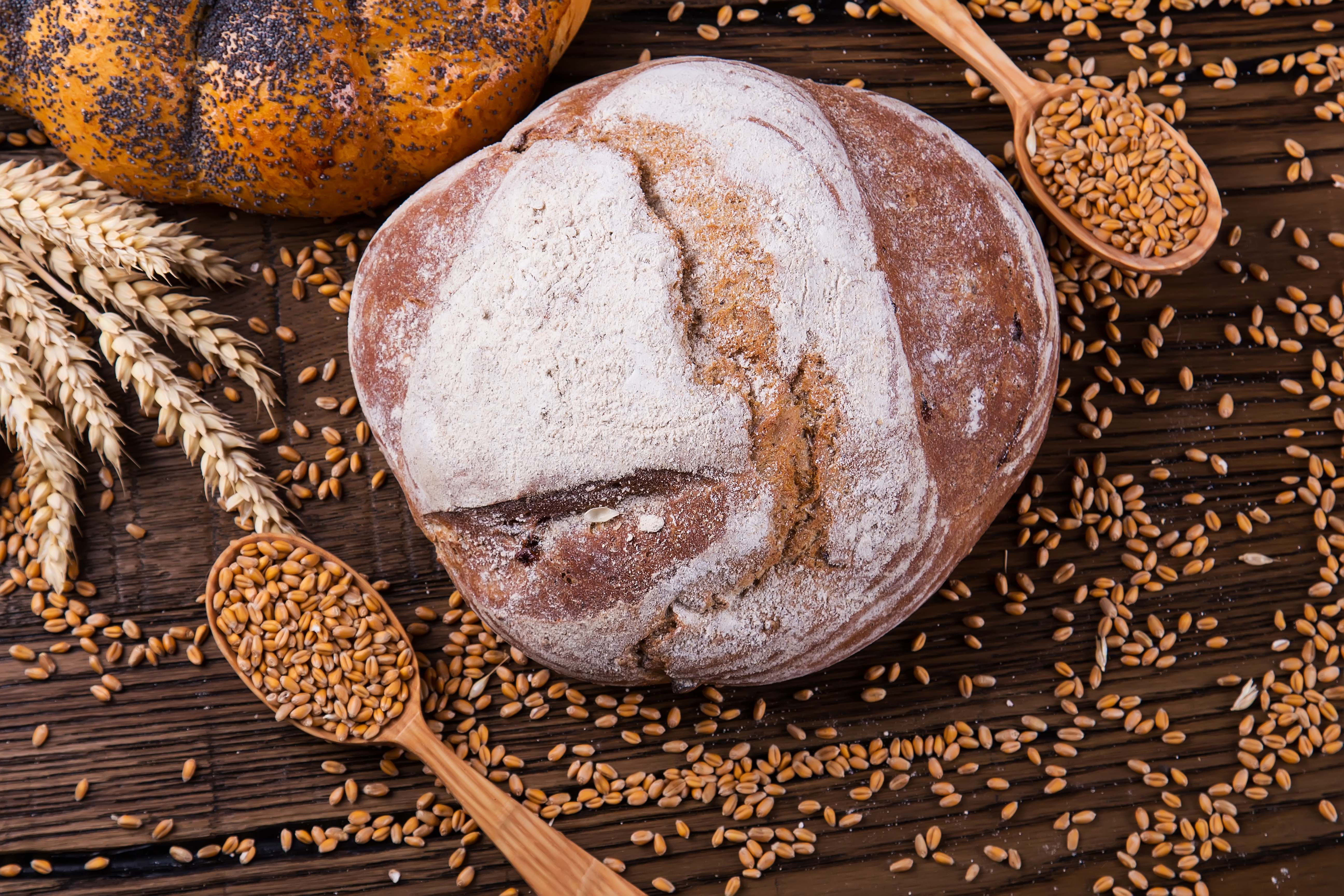 Baking Bread Spoon Wheat 5184x3456