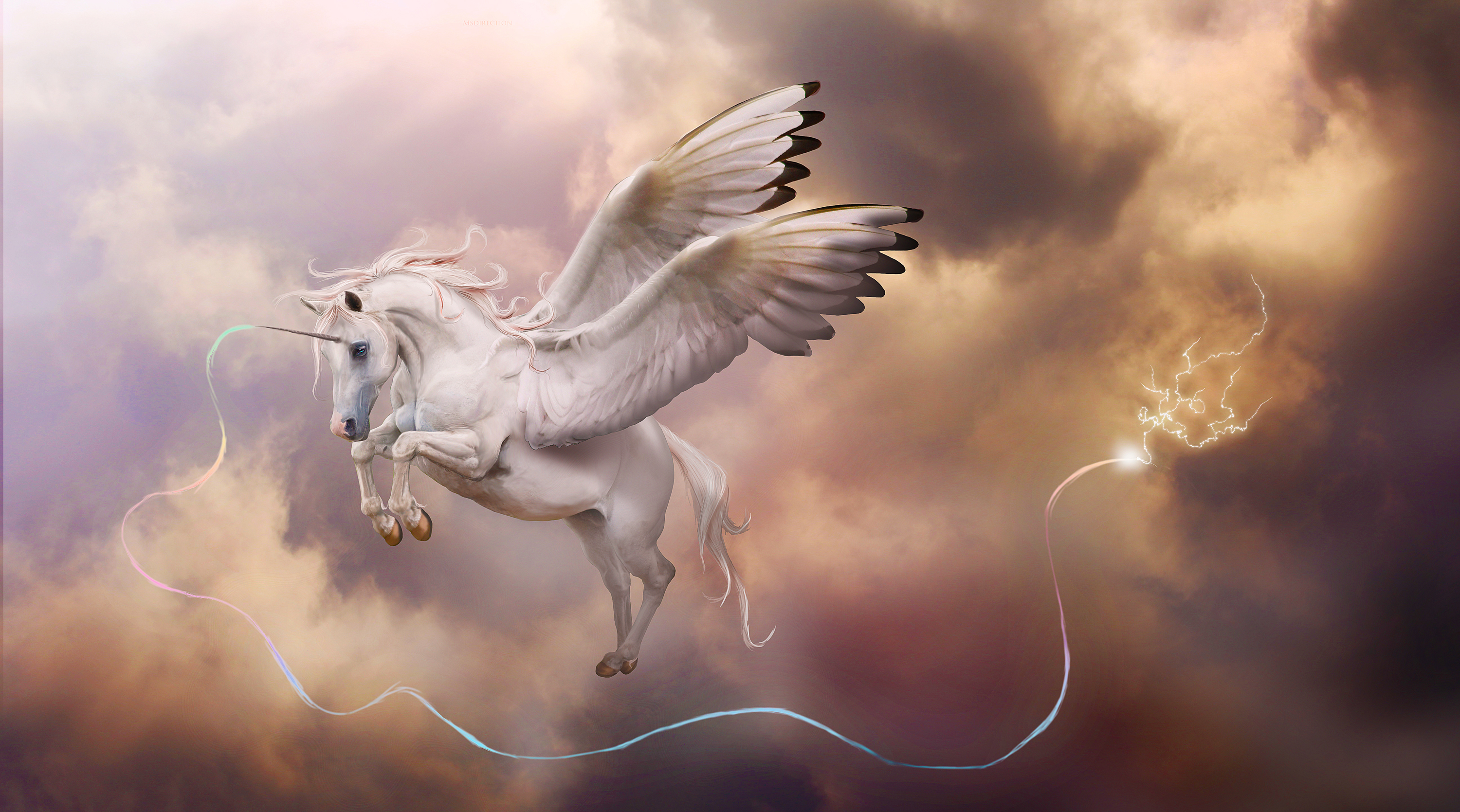 Fantasy Horse Pegasus Wings 3000x1669
