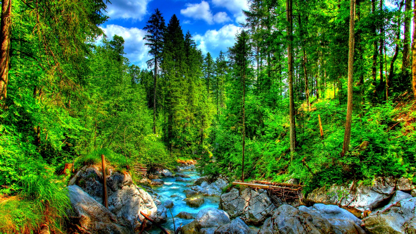 Creek Forest 1366x768