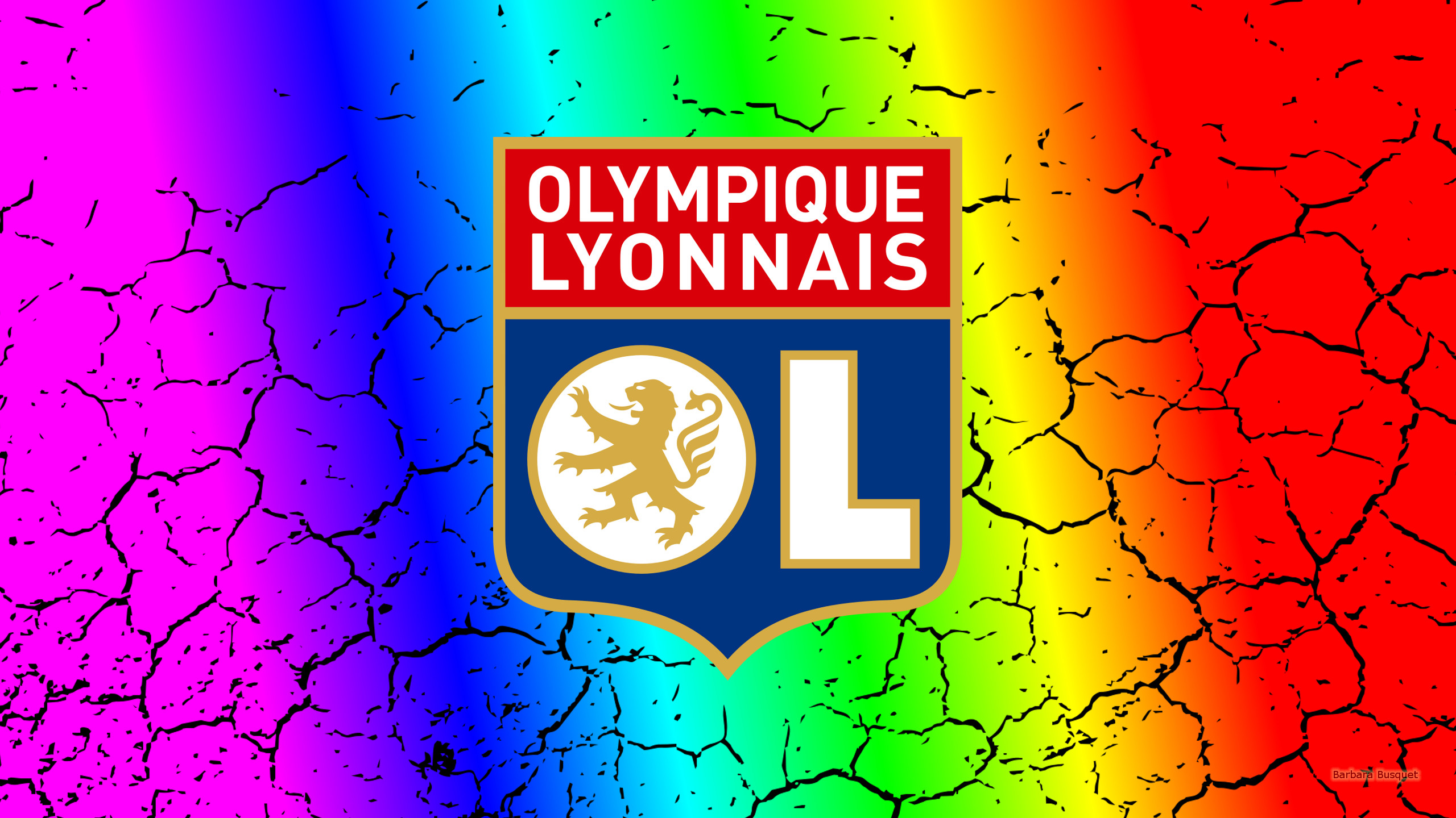 Emblem Logo Olympique Lyonnais Soccer 2560x1440