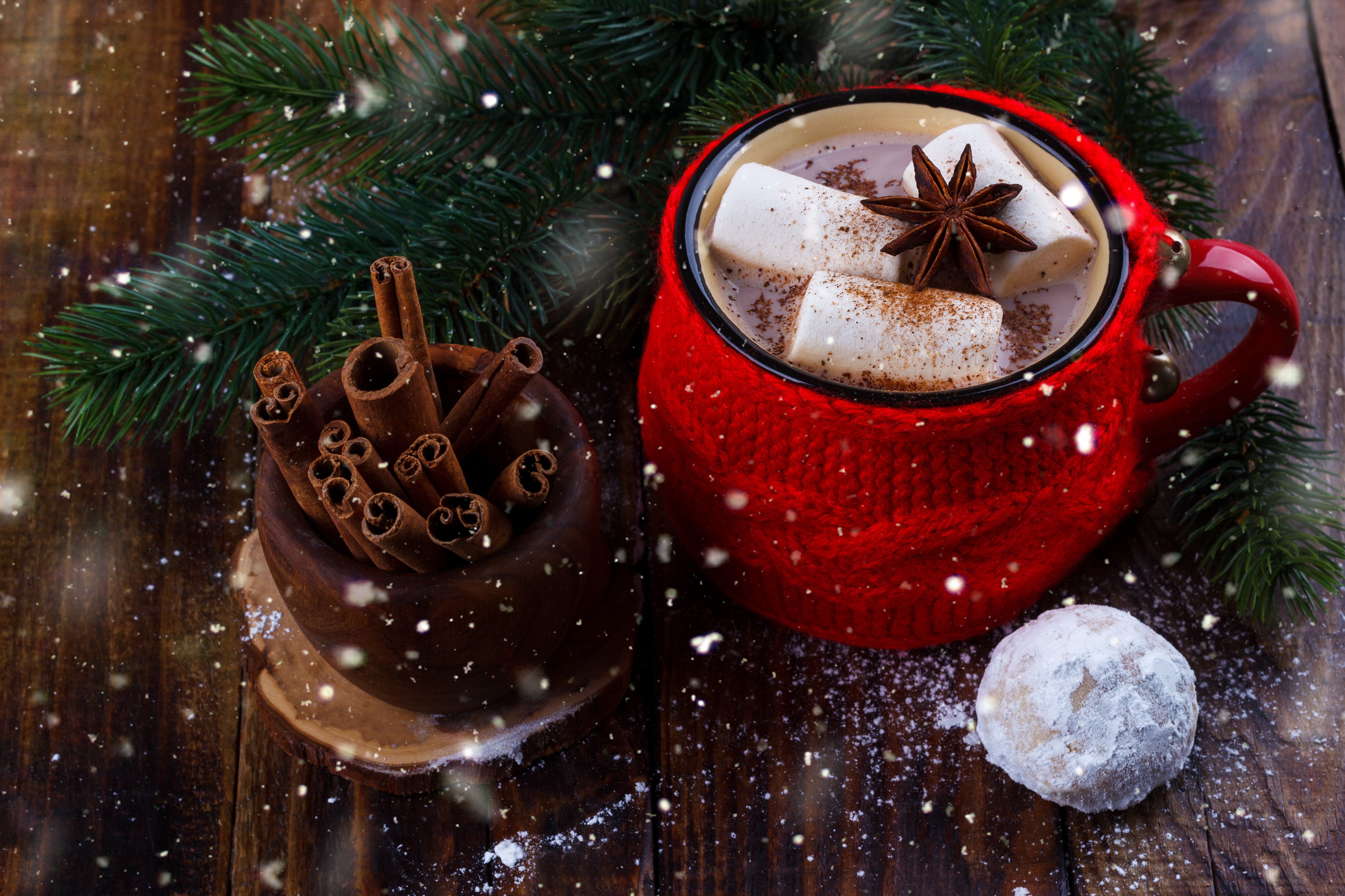 Cinnamon Cup Hot Chocolate Marshmallow 5184x3456