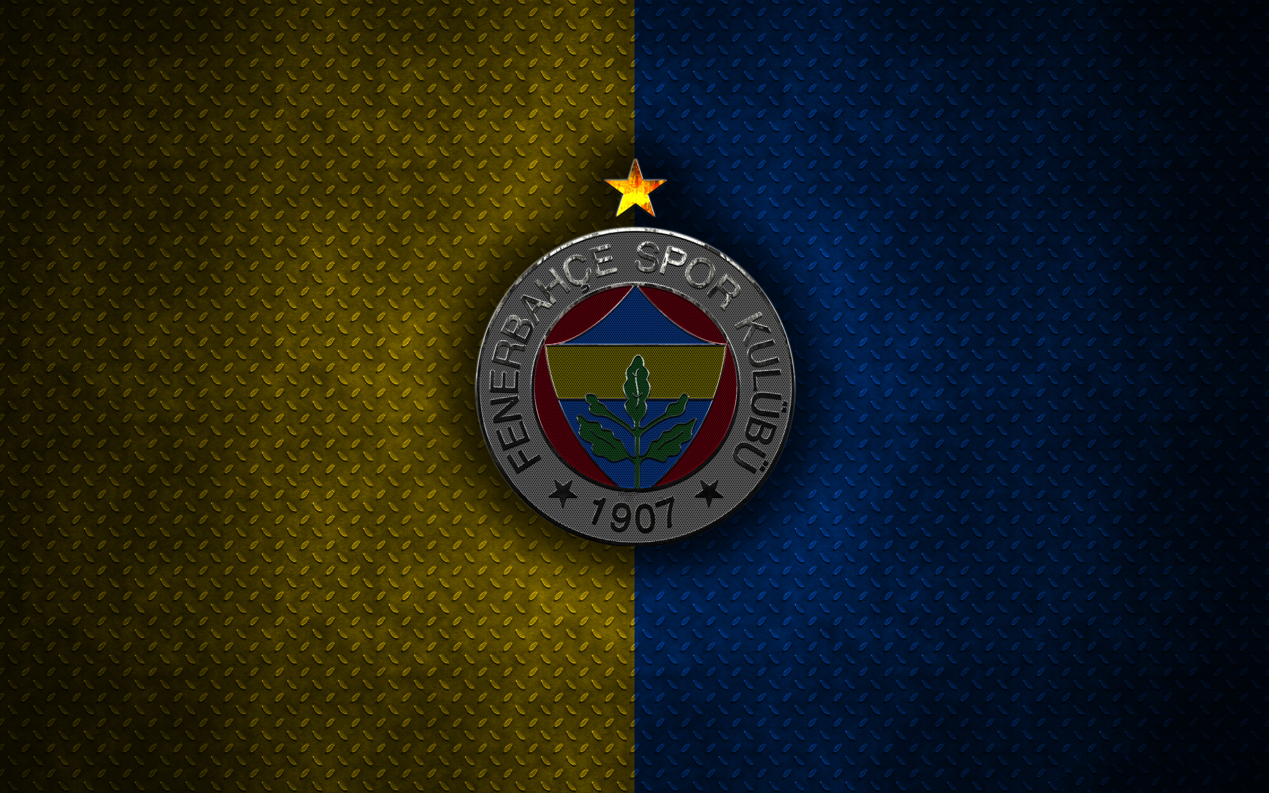Emblem Fenerbahce S K Logo Soccer 2560x1600