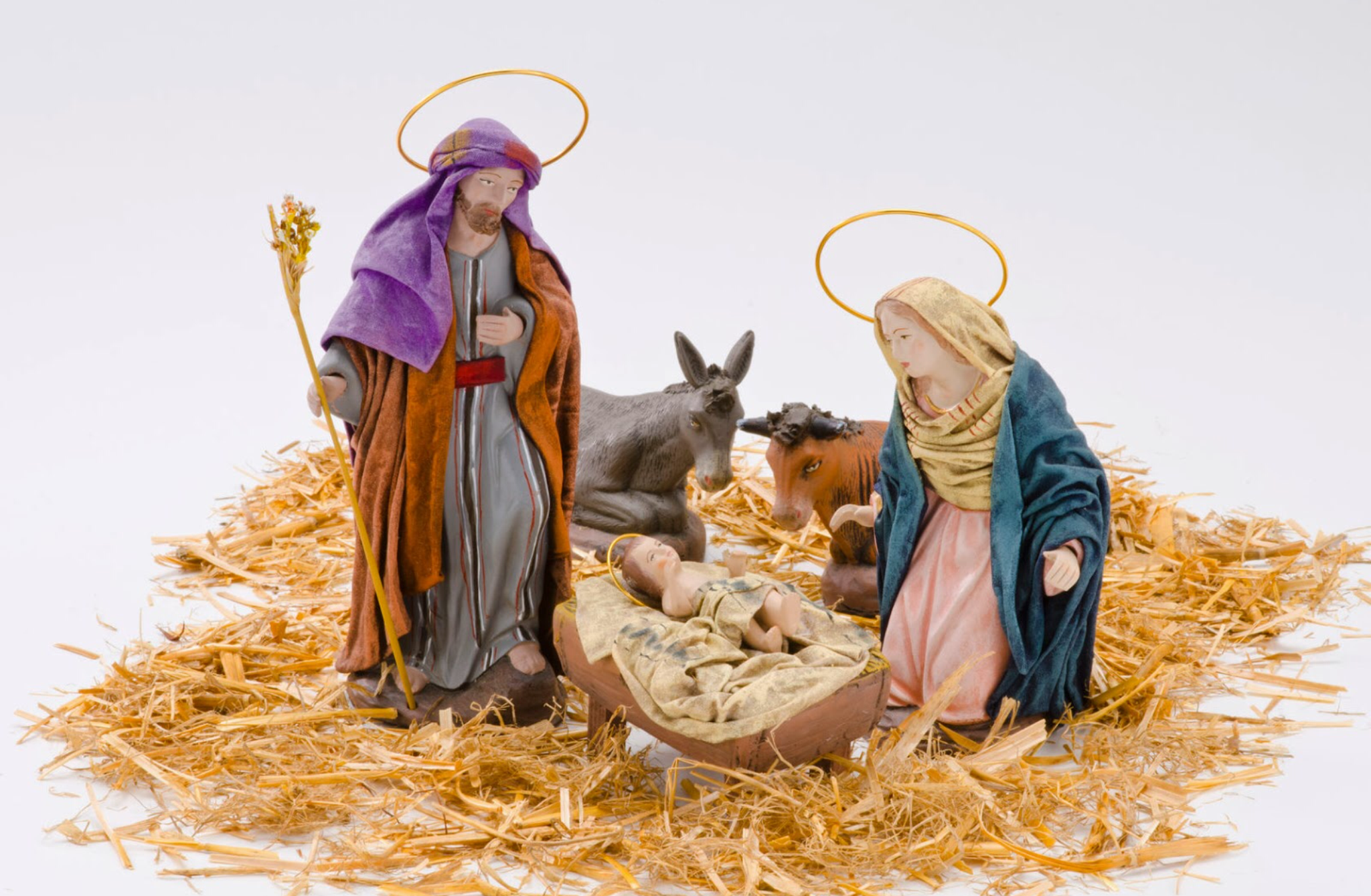 Baby Christmas Cow Donkey Jesus Mary Mother Of Jesus Nativity Religion 2048x1339