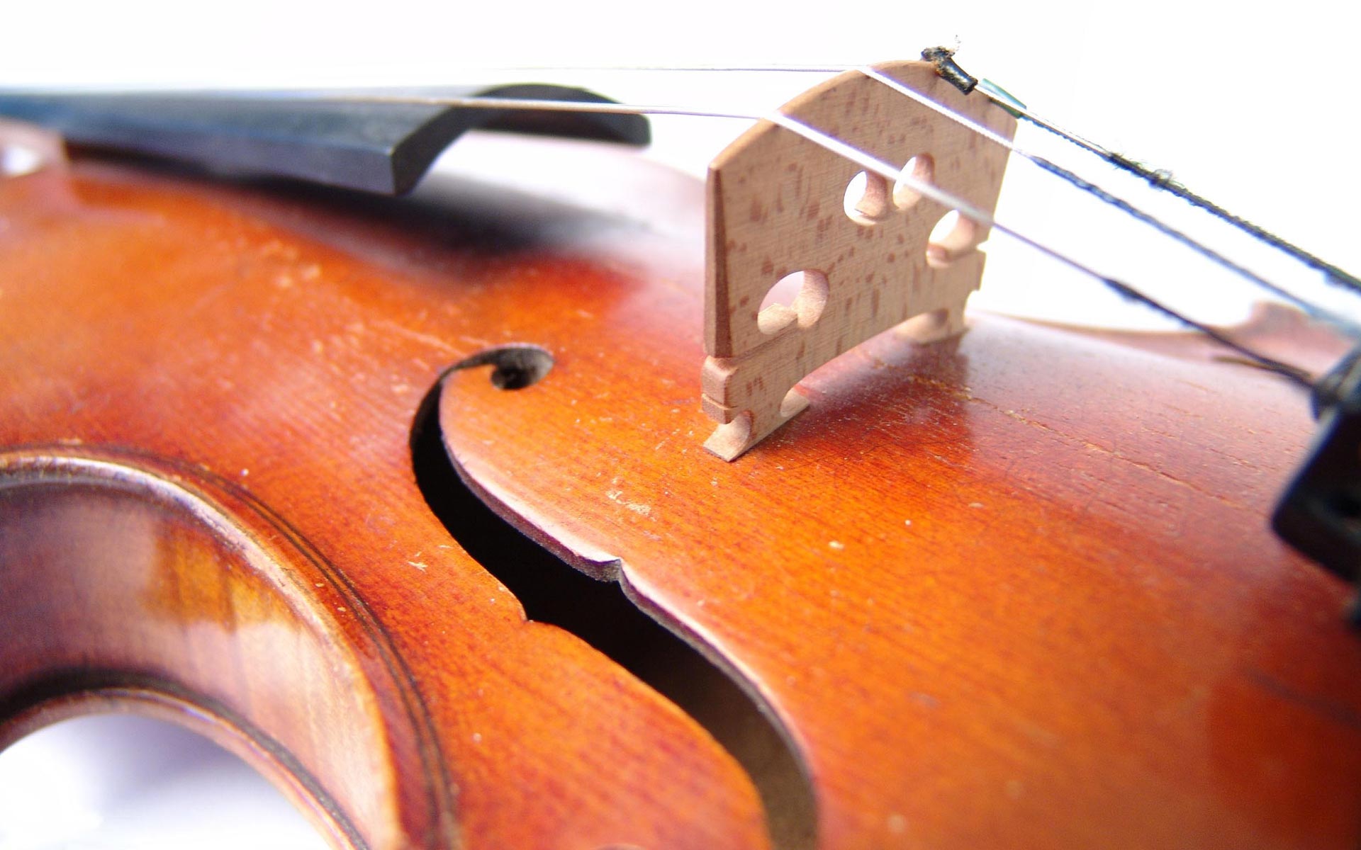 Violin 1920x1200