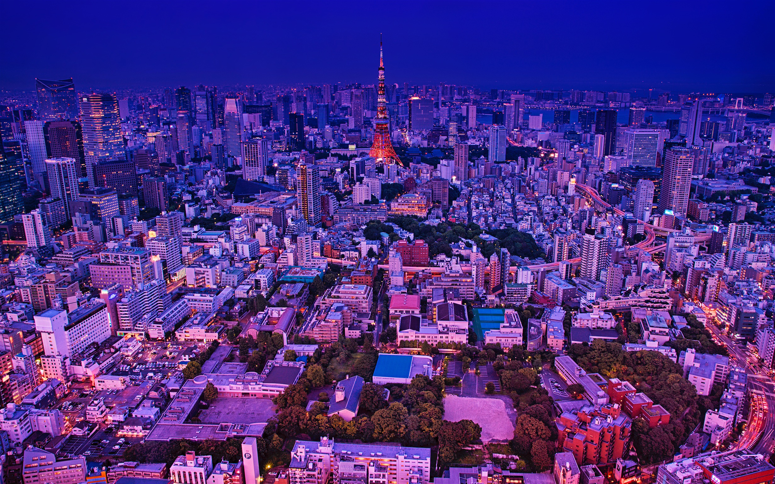 Building City Cityscape Night Skyscraper Tokyo Tokyo Tower 2463x1540