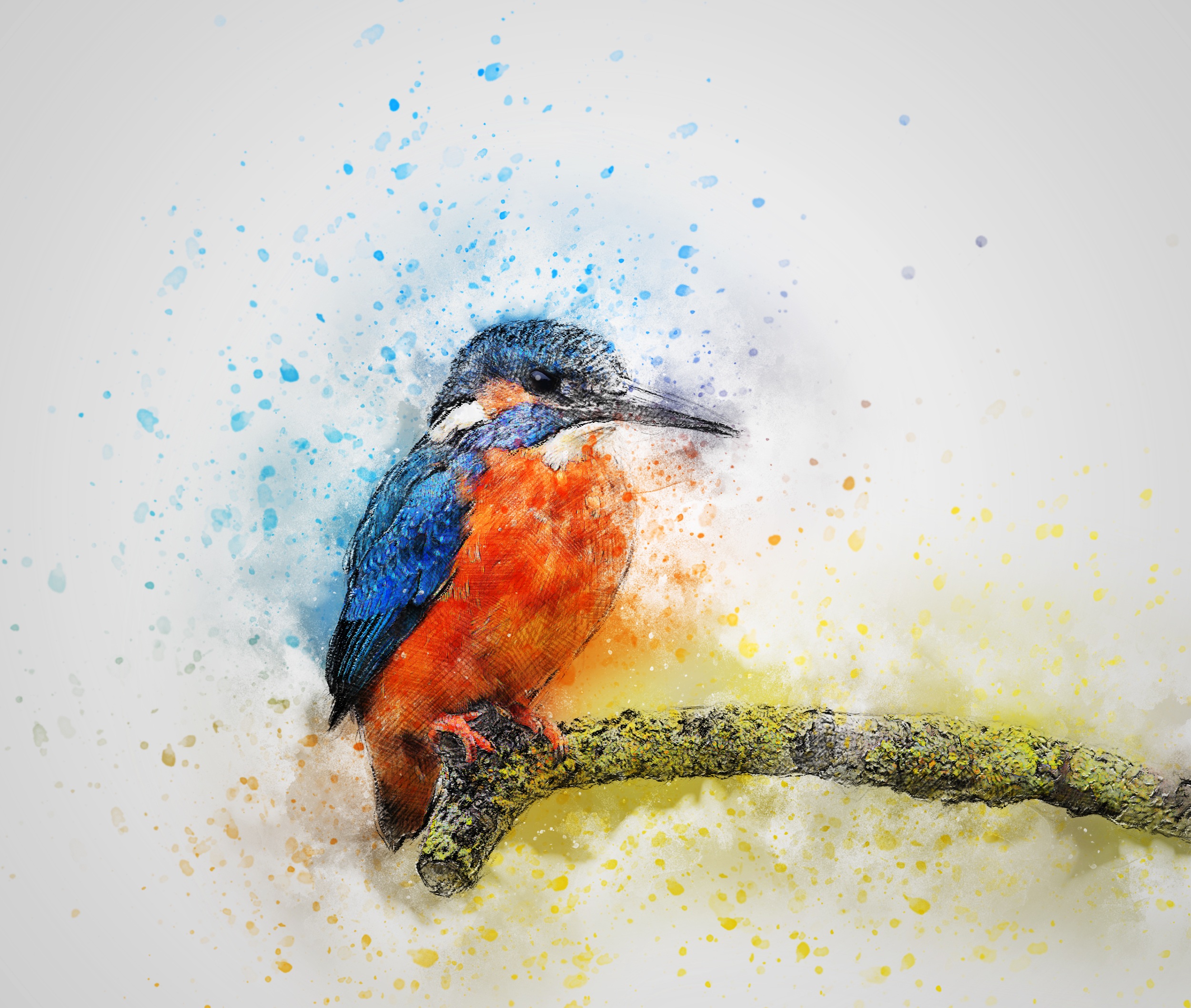 Artistic Artwork Bird Kingfisher Watercolor 2500x2117