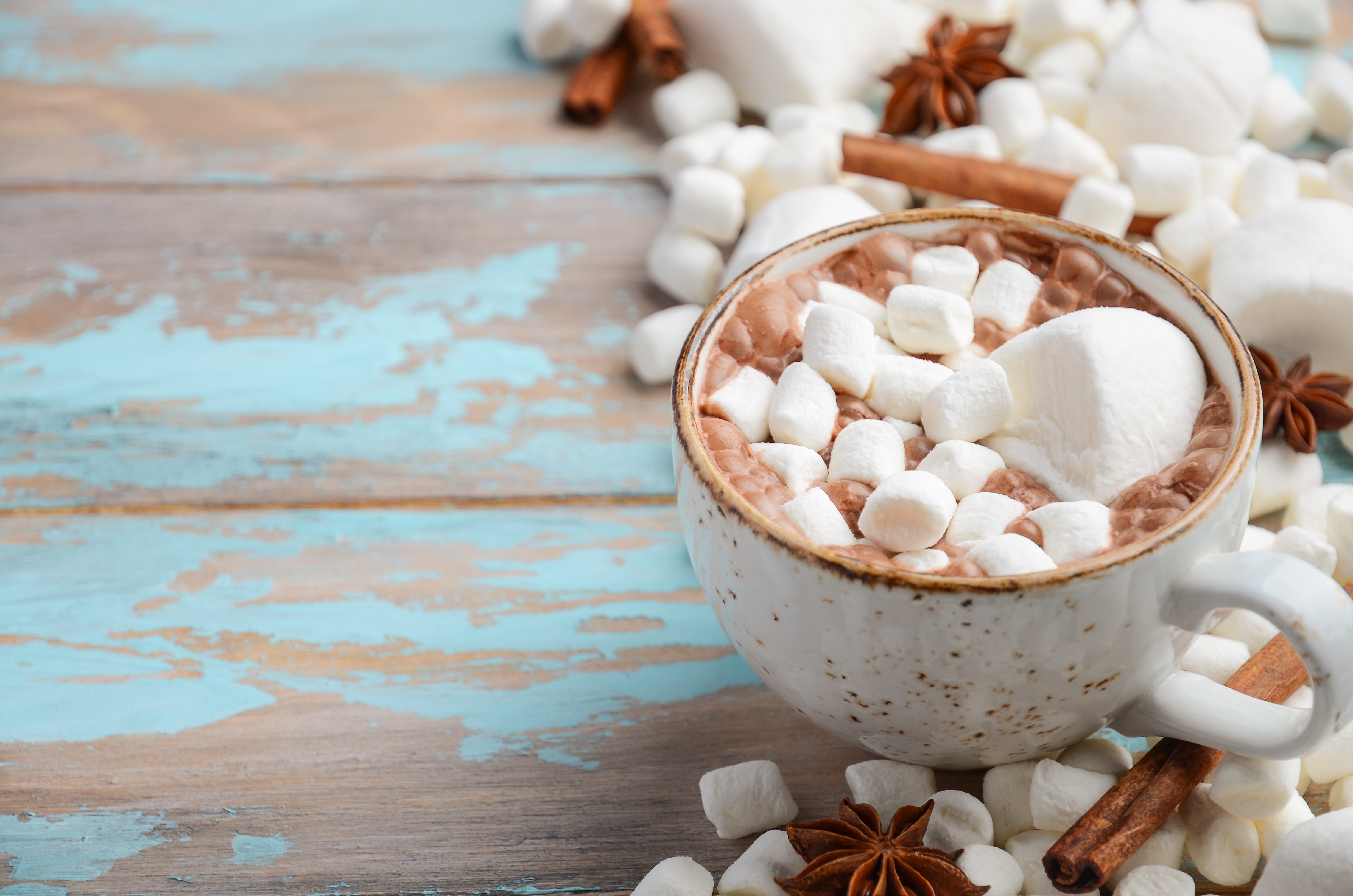 Cup Hot Chocolate Marshmallow 4928x3264