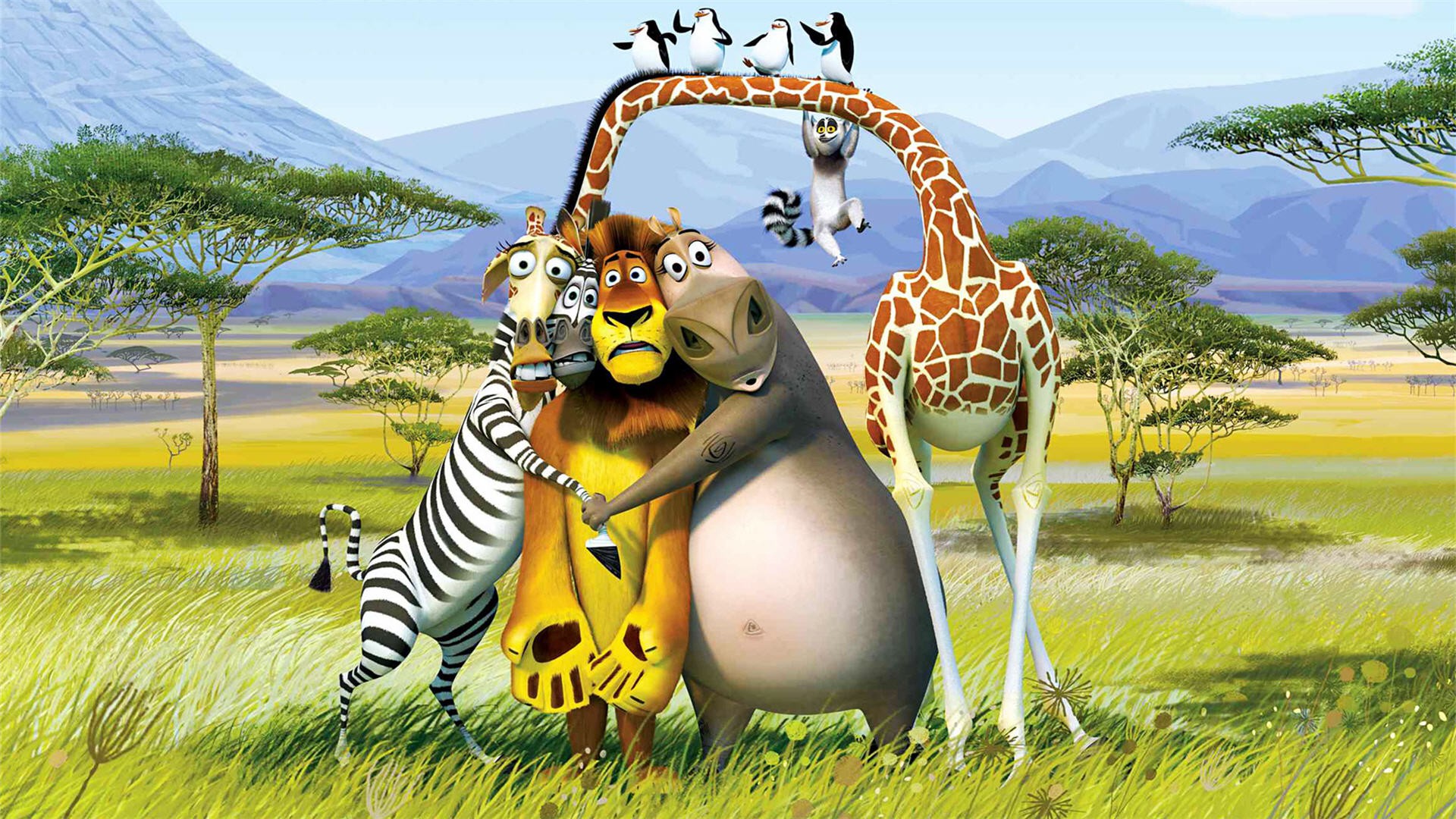 Animal Madagascar Movie Movie 1920x1080