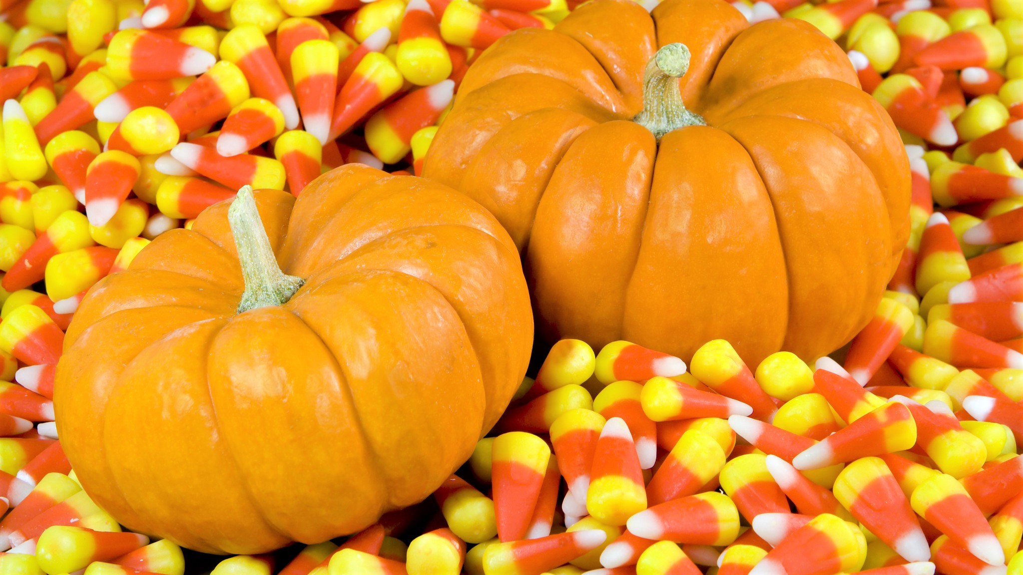 Candy Corn Gourd Halloween Holiday 2048x1152