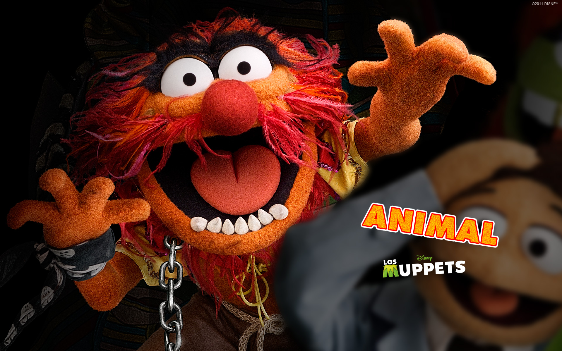 The Muppets Tv Show 1920x1200