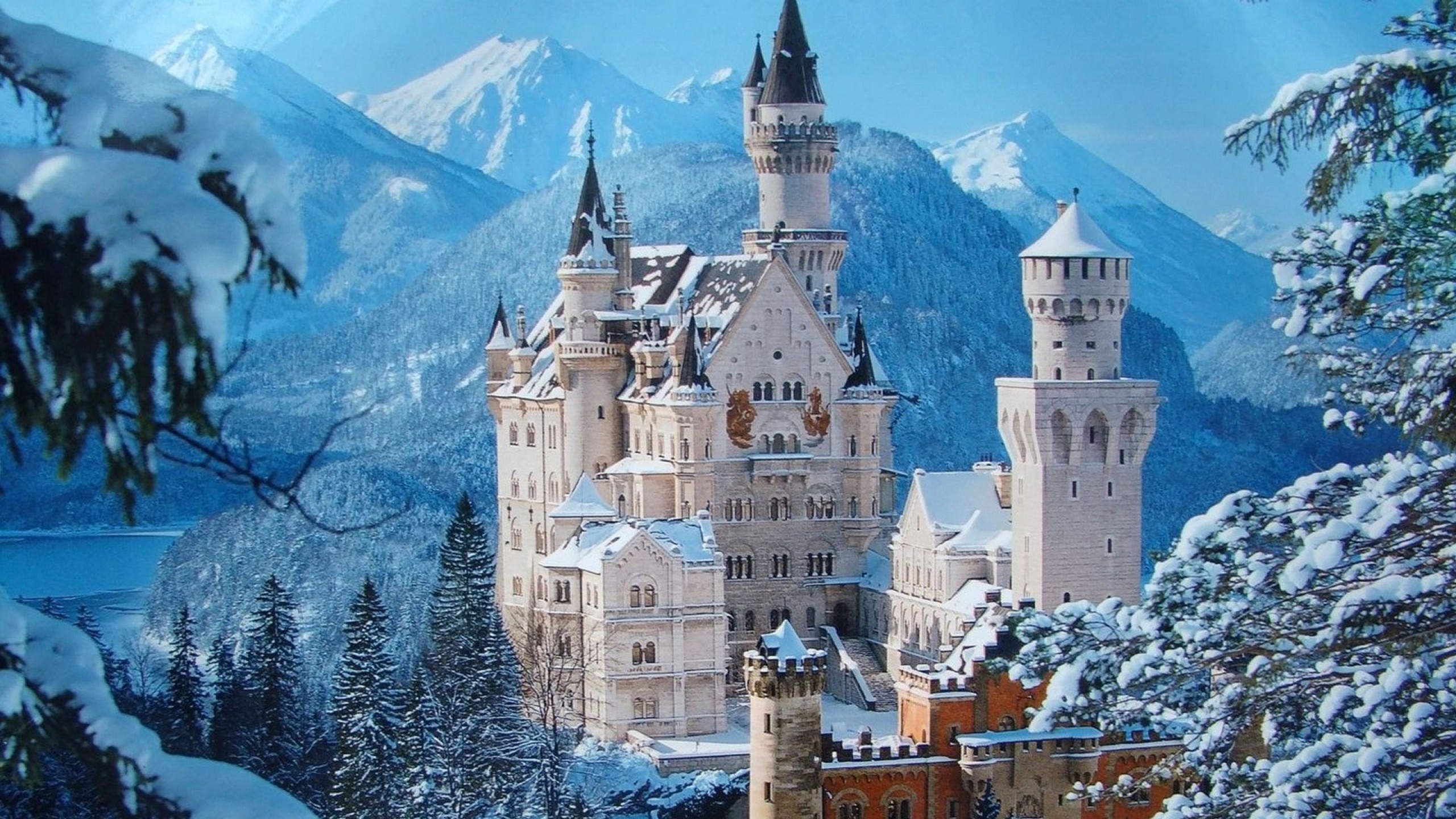Bavaria Castle Germany Neuschwanstein Castle Winter 2560x1440