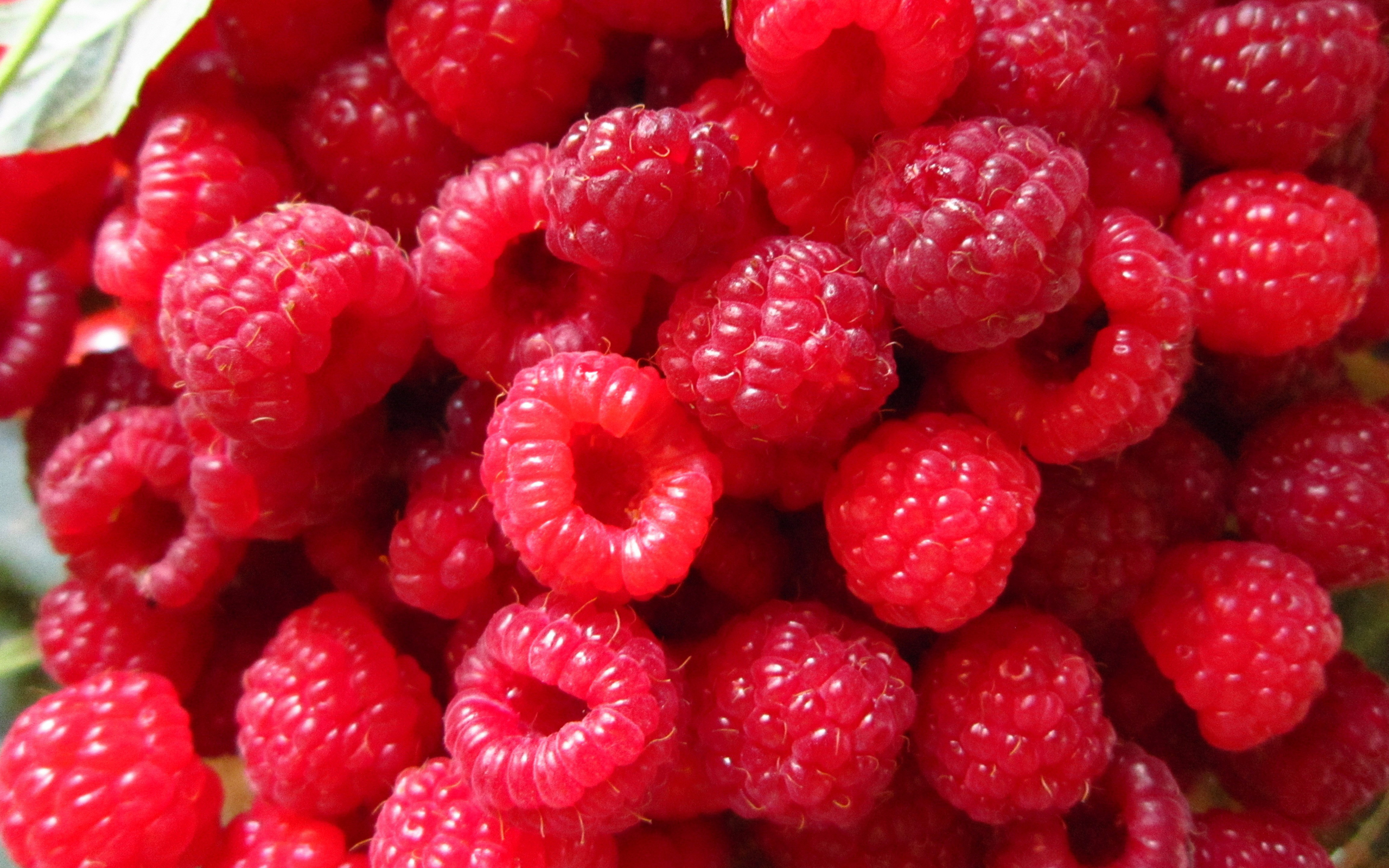 Food Raspberry 2560x1600
