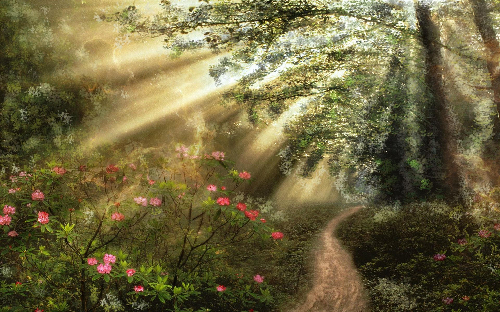 Artistic Flower Forest Path Sunbeam Sunshine 1920x1200