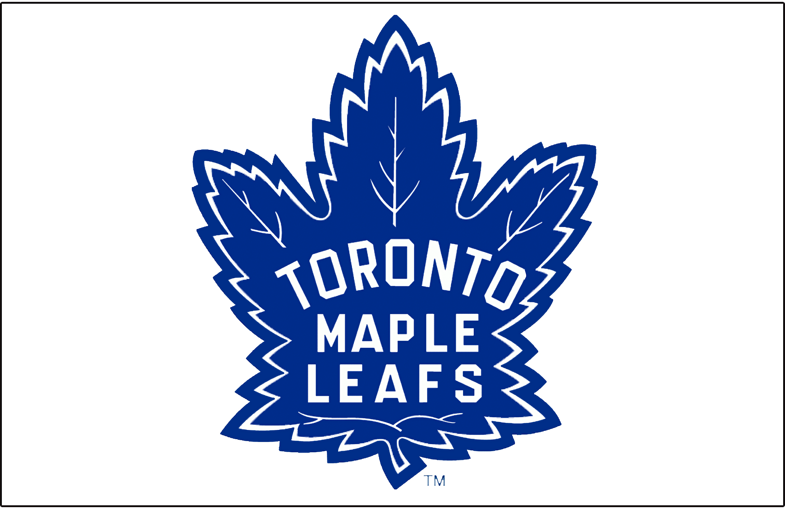 Toronto Maple Leafs 2560x1661