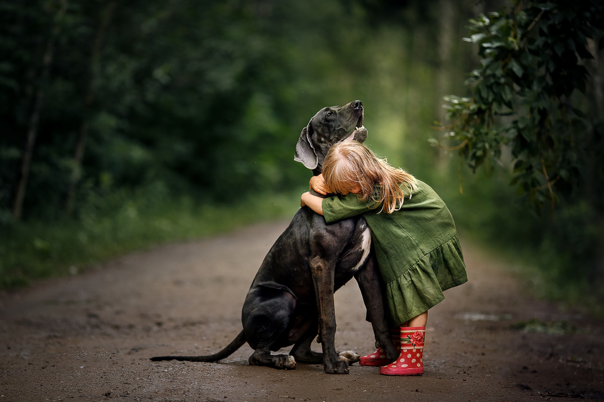Cute Hug Little Girl Love Puppy 1920x1280