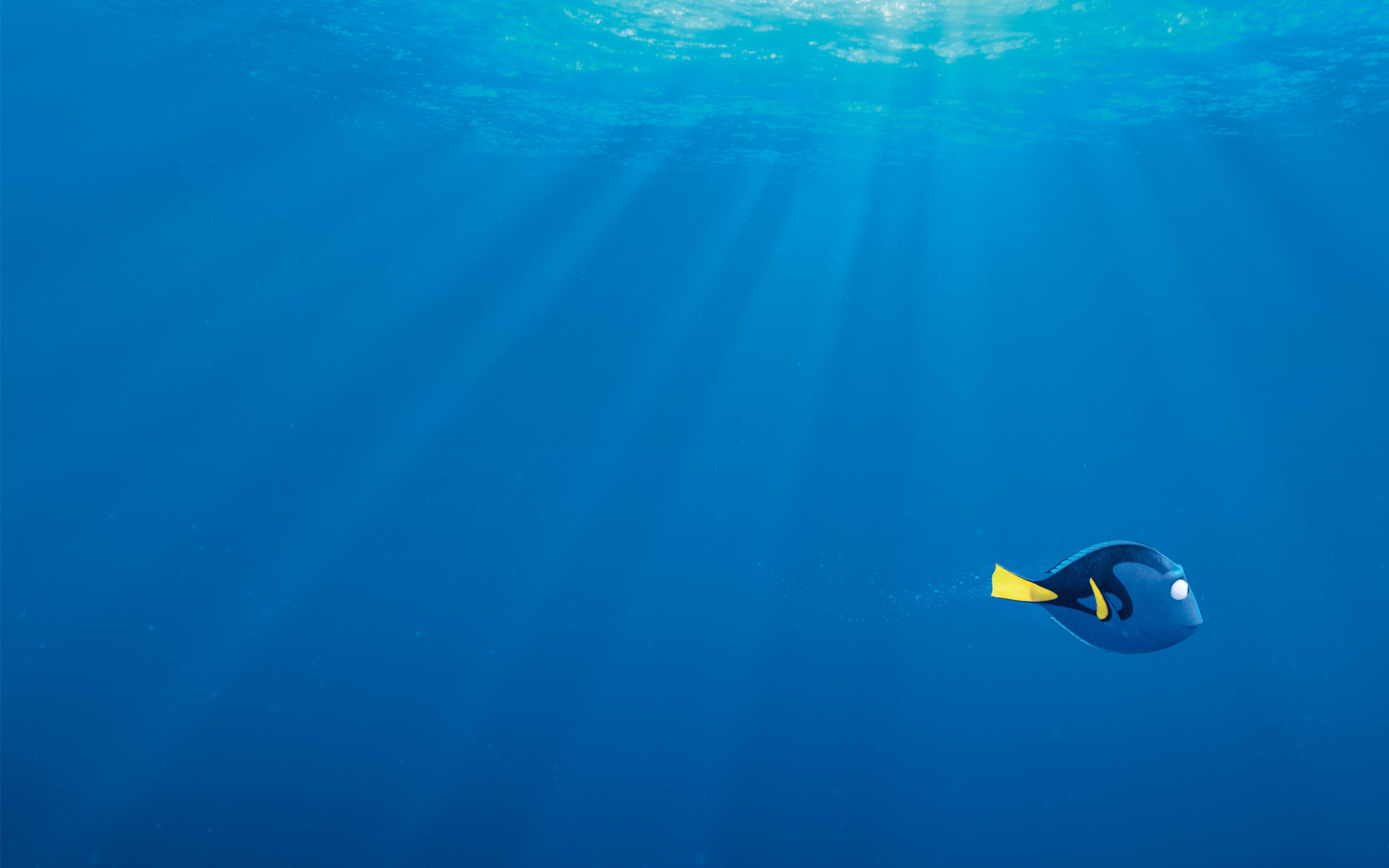 Dory Finding Nemo Finding Dory 2880x1800