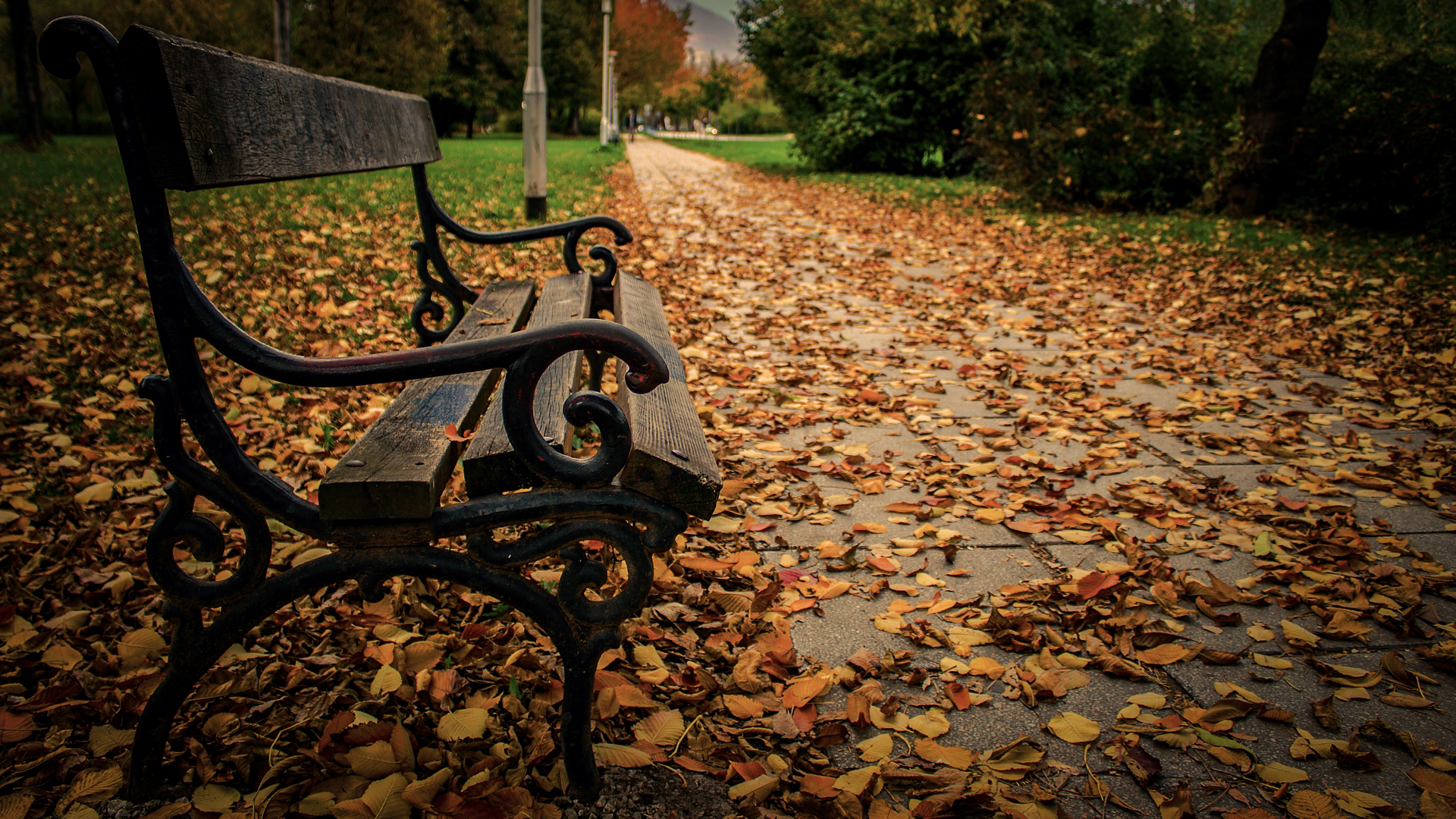 Bench Fall Leaf Nature Street 1920x1080