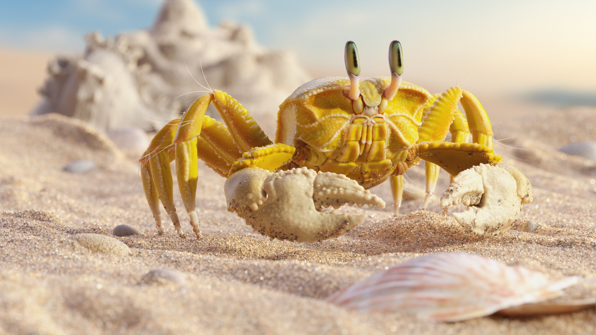 Crab Sand Wildlife 1920x1080
