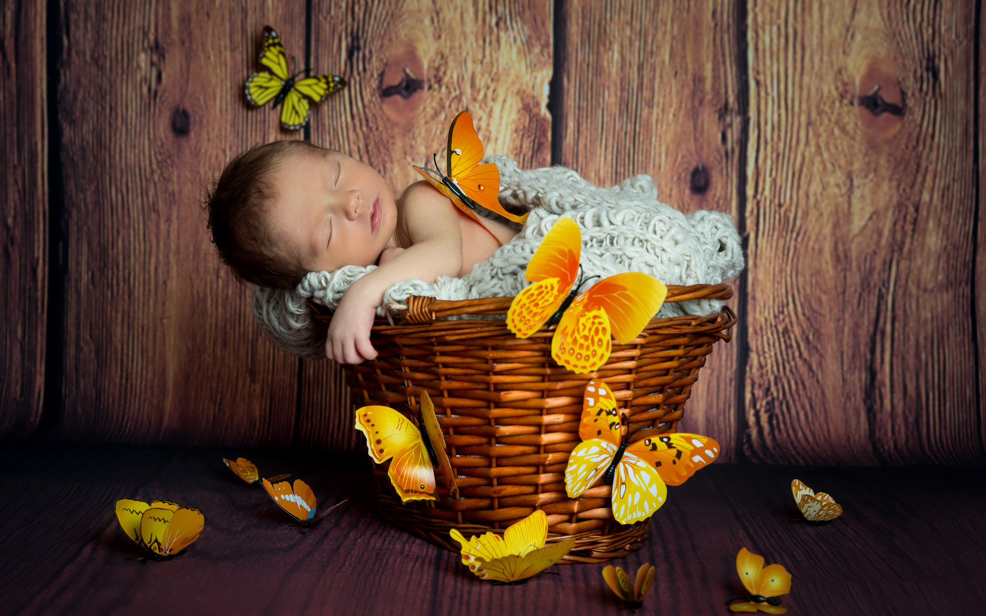 Baby Basket Butterfly Cute Sleeping 1920x1200