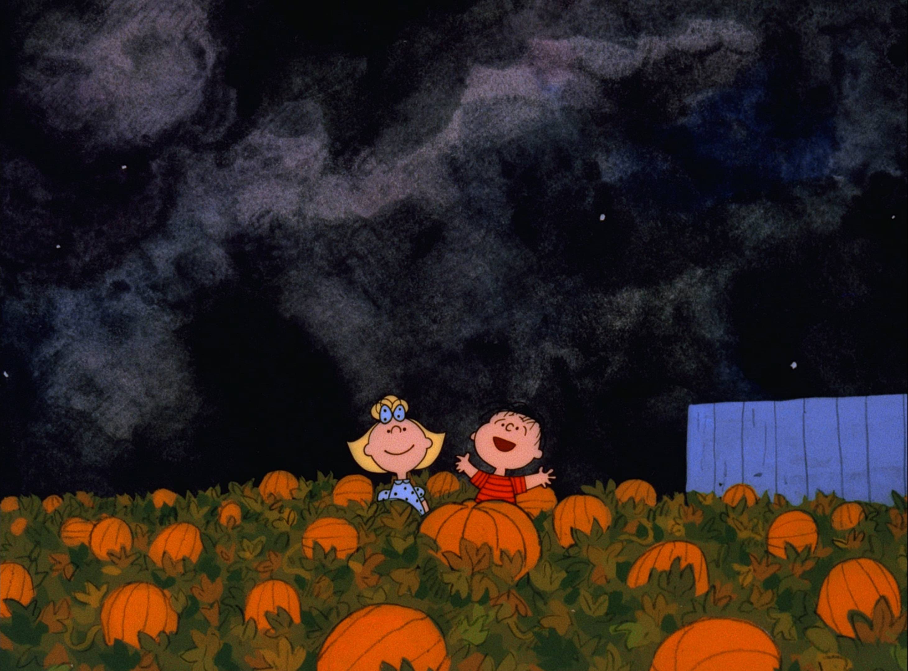 Charlie Brown Linus Van Pelt Pumpkin Sally Brown 2920x2160