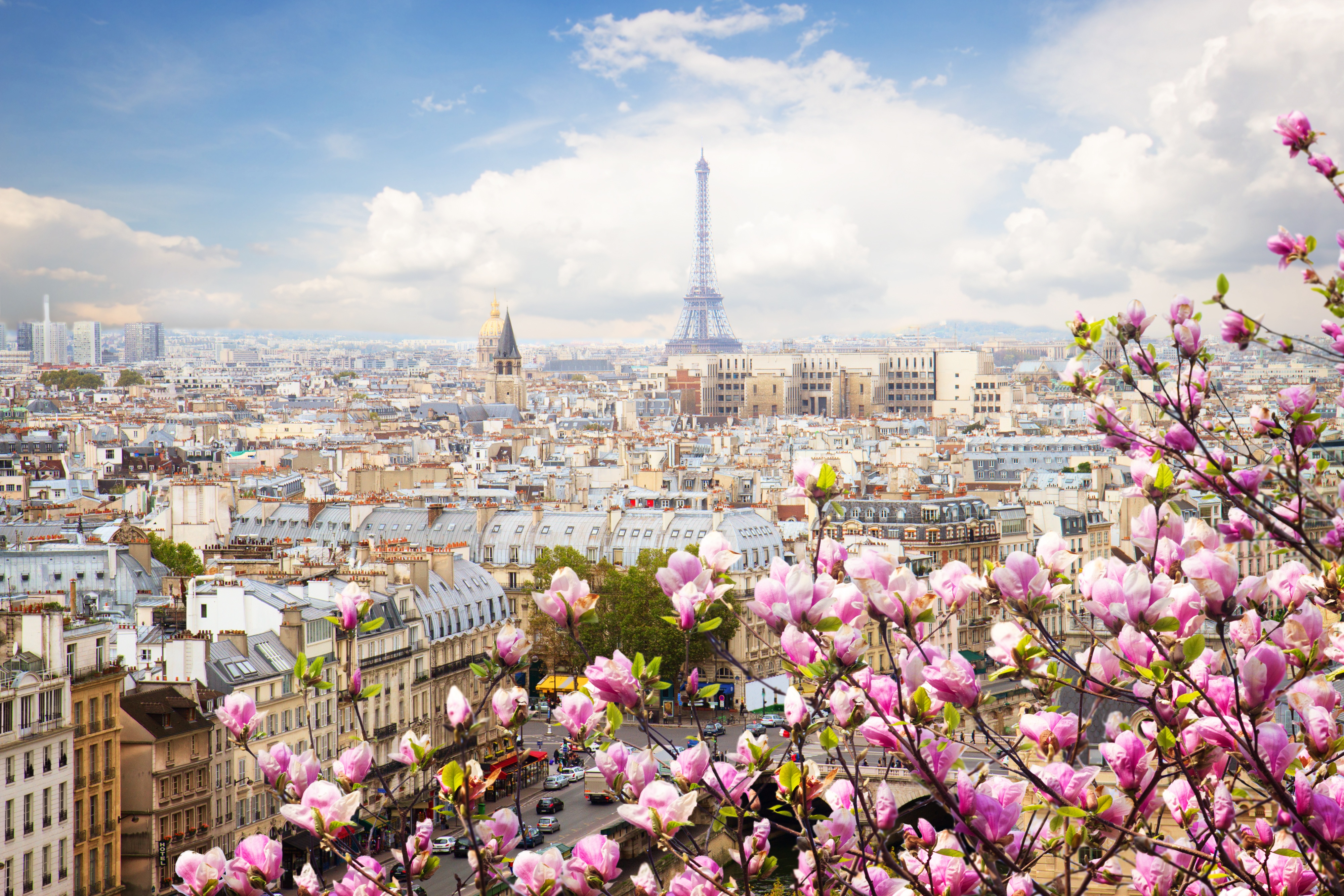 Blossom City Cityscape Eiffel Tower France Paris Spring 4000x2667