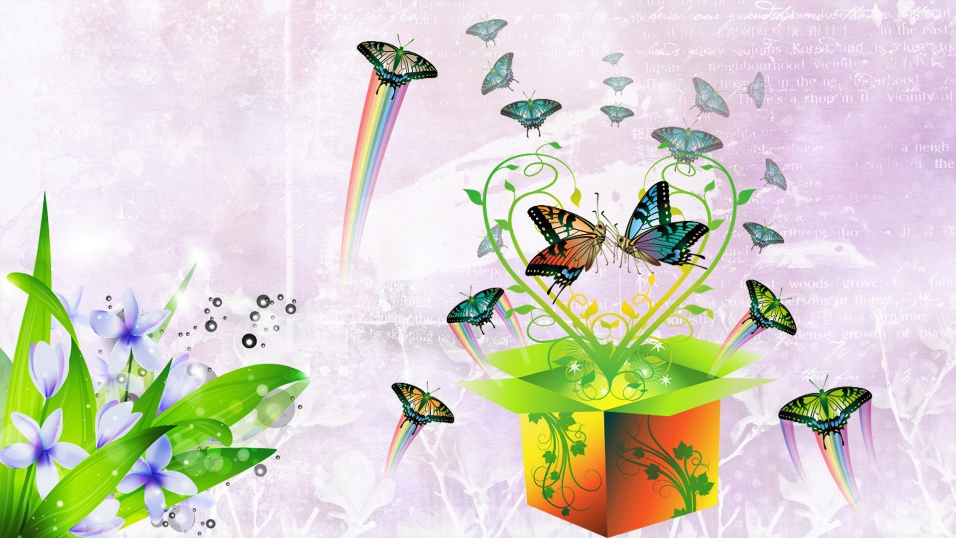 Artistic Box Butterfly Colorful Flower Spring 1920x1080