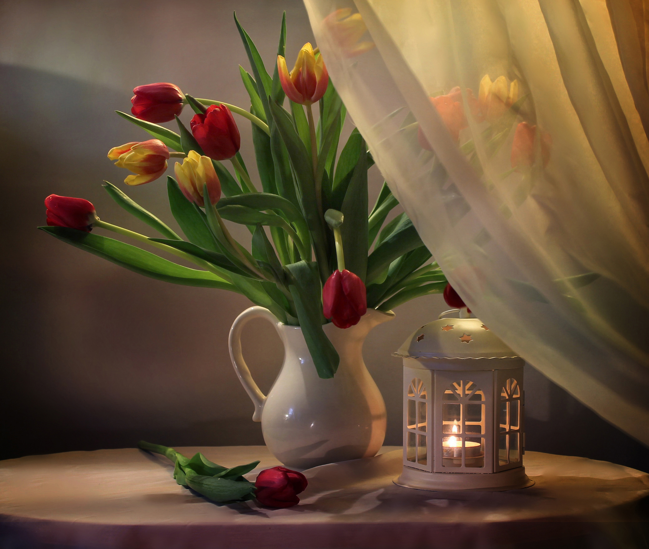 Curtain Lantern Still Life Tulip Vase 2080x1760
