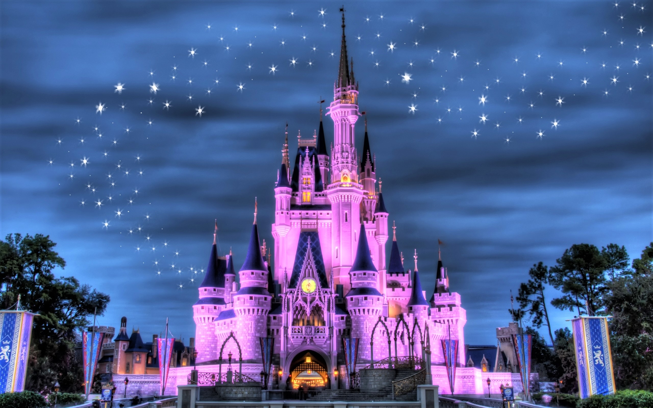 Castle Disneyland 2560x1600