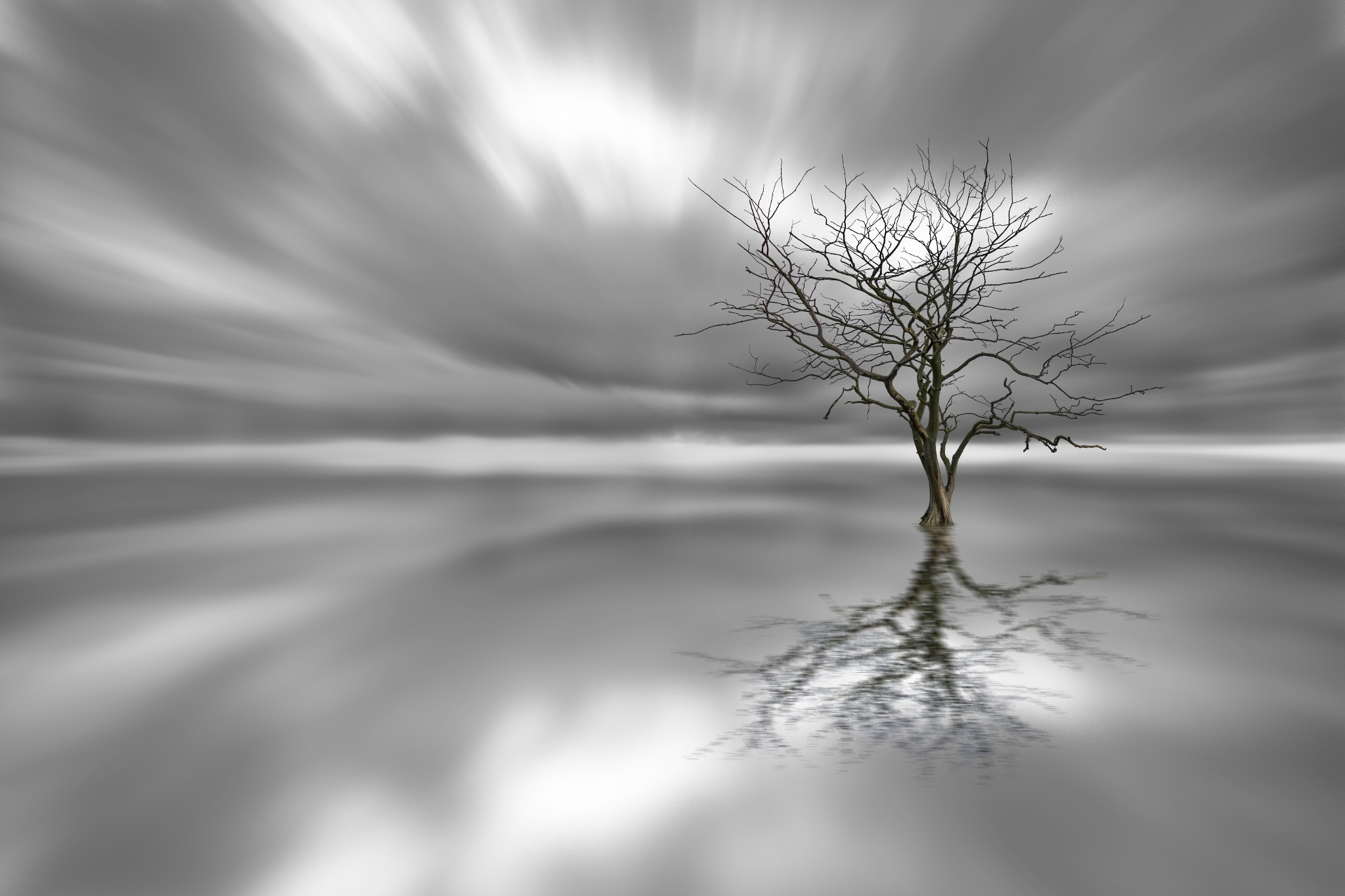 Black Amp White Cloud Lonely Tree Nature Reflection Tree 2048x1365