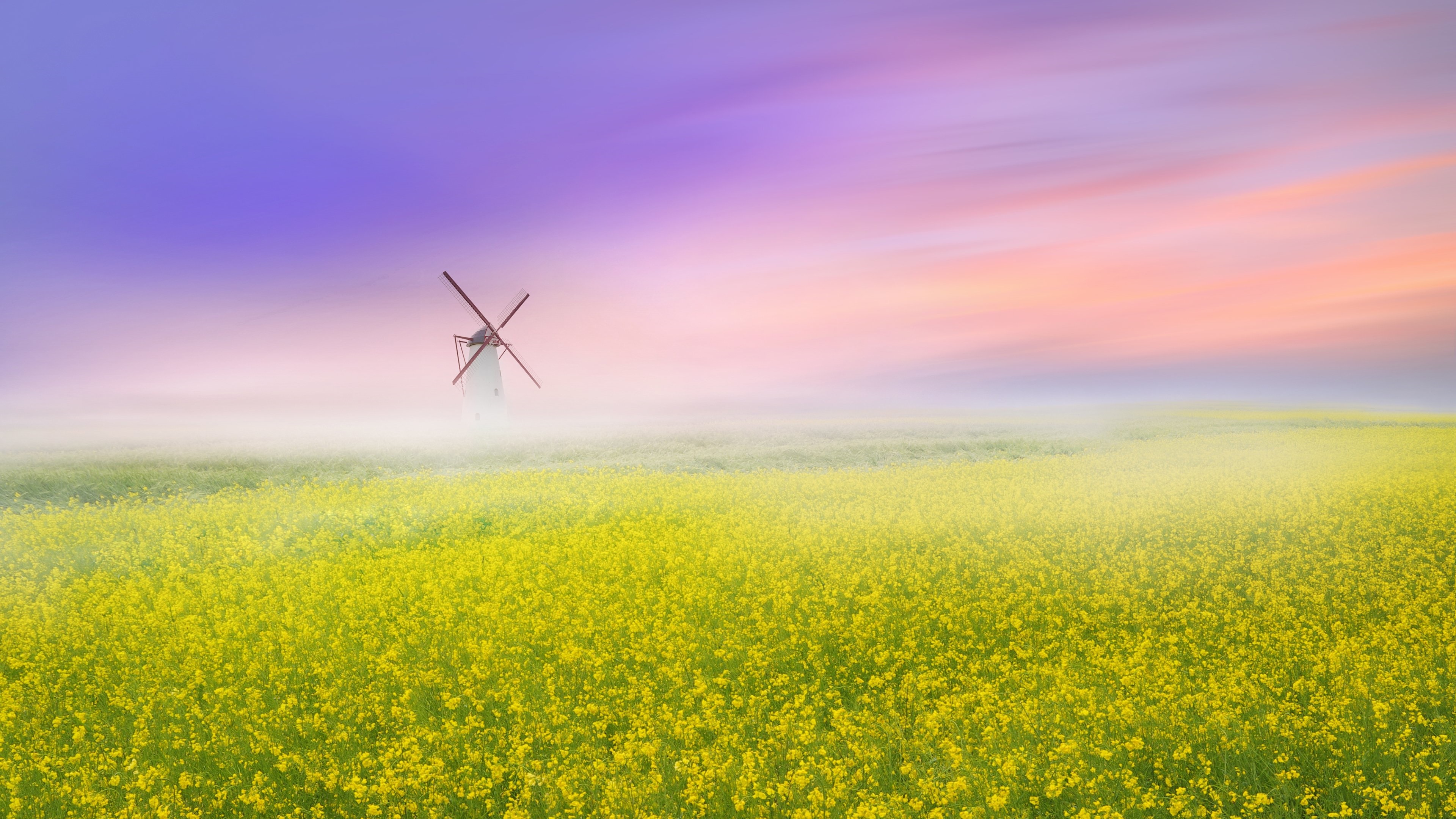 Field Flower Fog Rapeseed Windmill 3840x2160