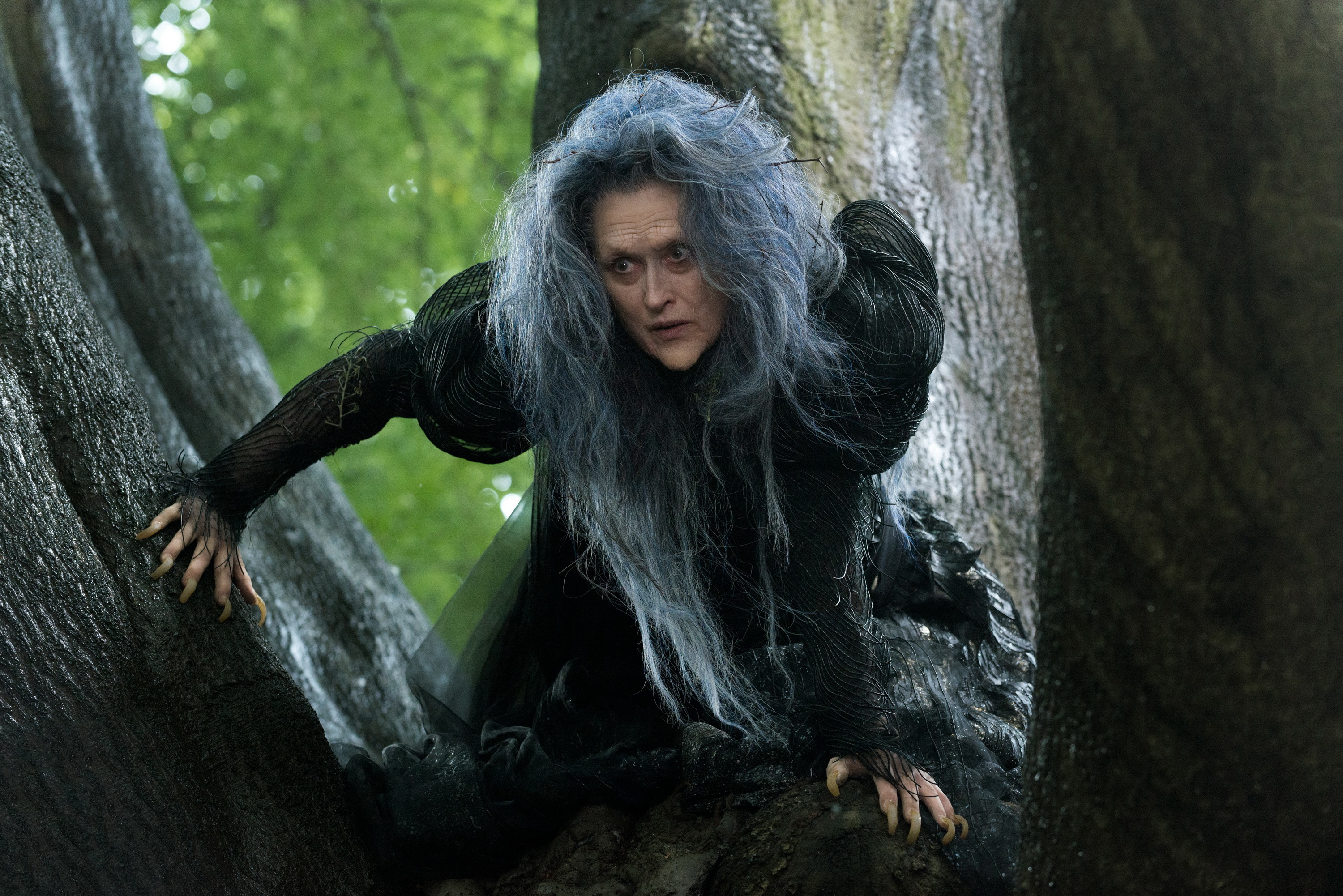 Into The Woods 2014 Meryl Streep Witch 3000x2002