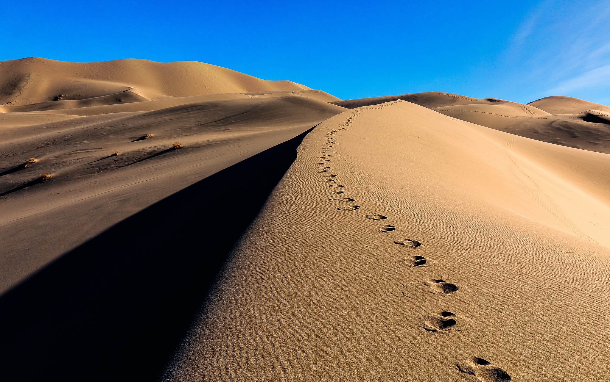 Desert Dune Footprint Nature Sand 2048x1284
