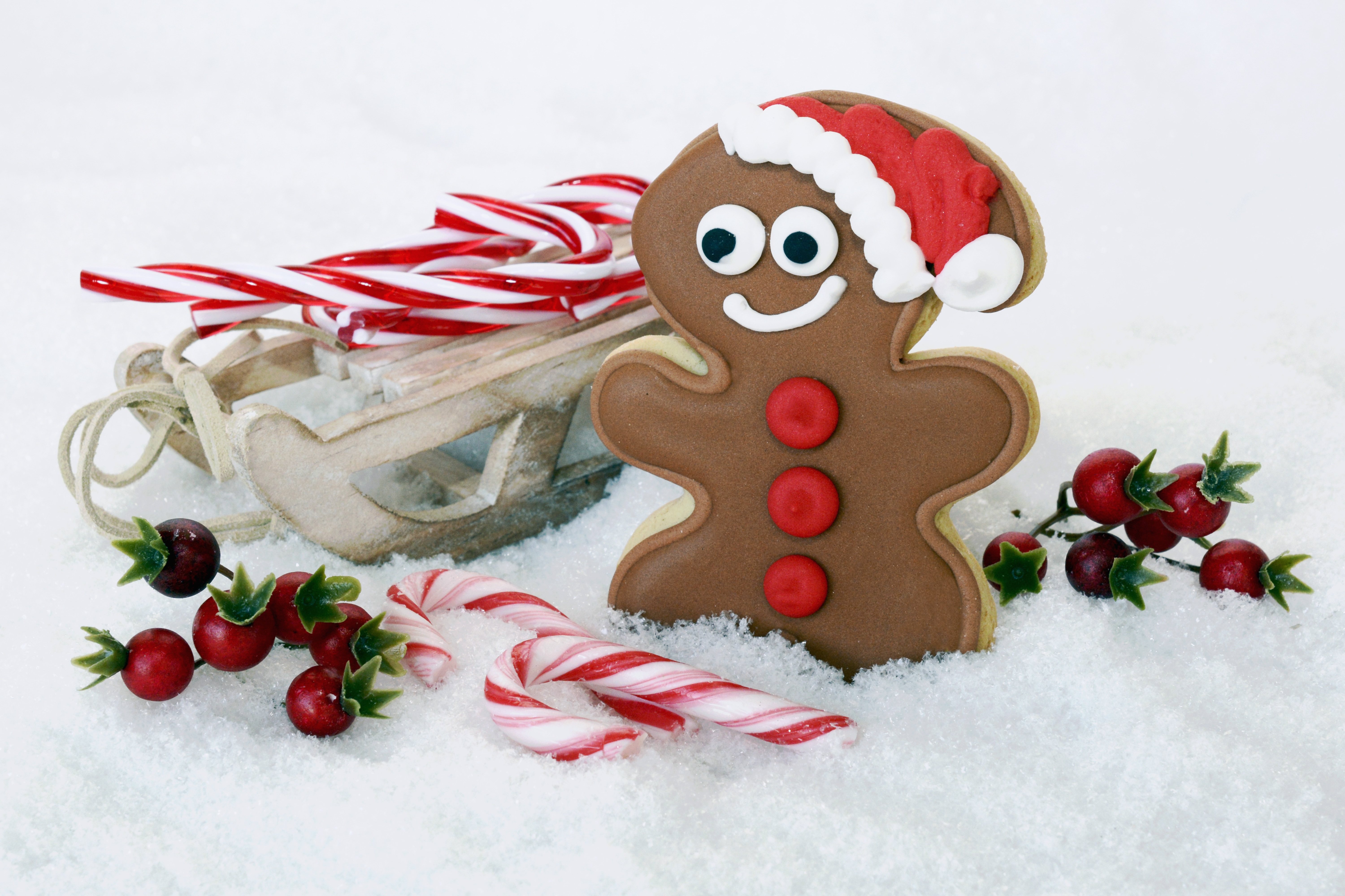 Candy Cane Christmas Cookie Gingerbread Sled 6000x4000